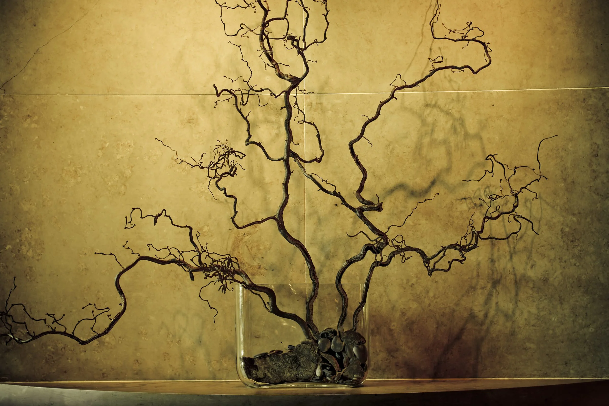 umstead_134.jpg