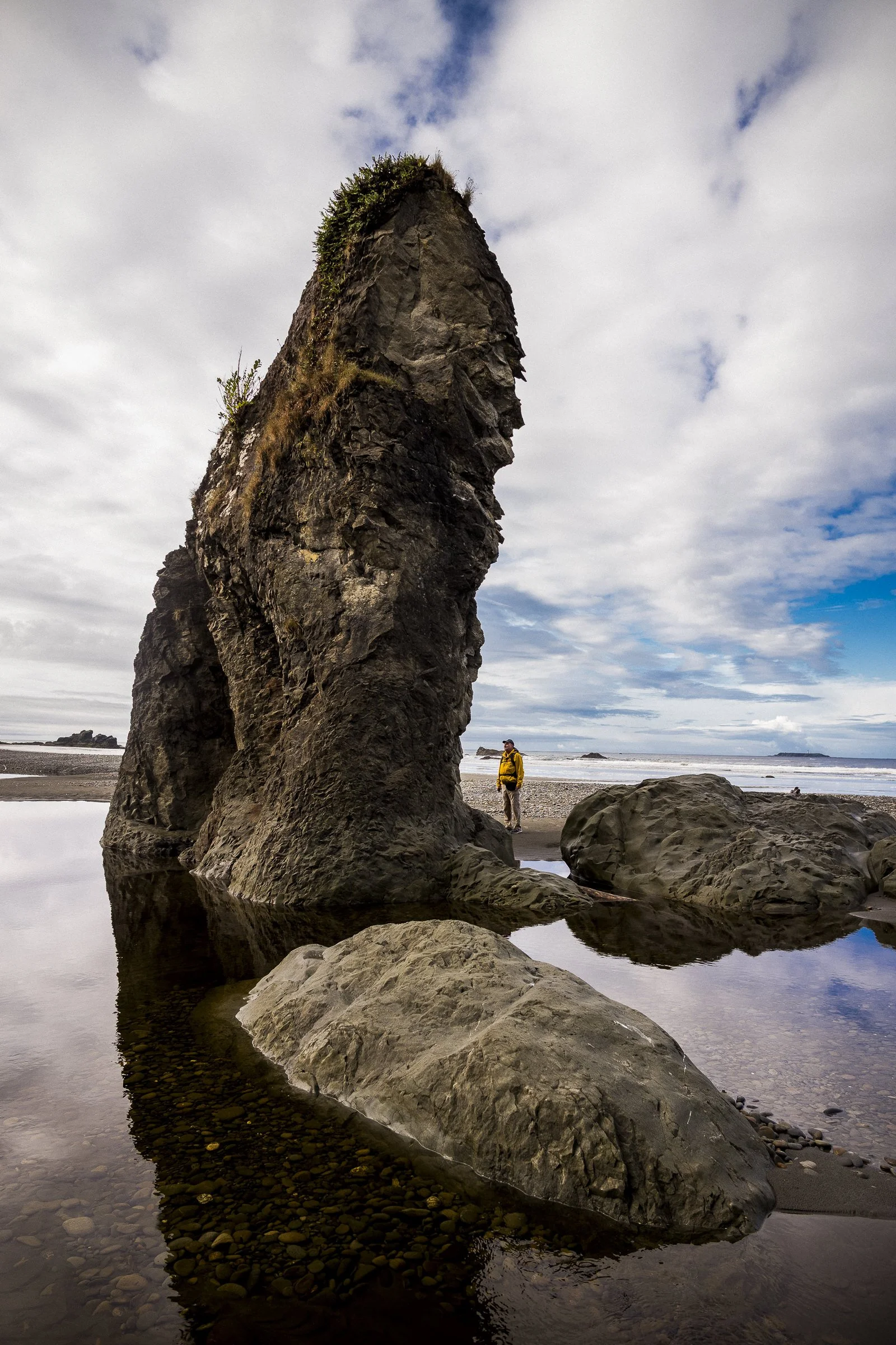 pnw_58.jpg