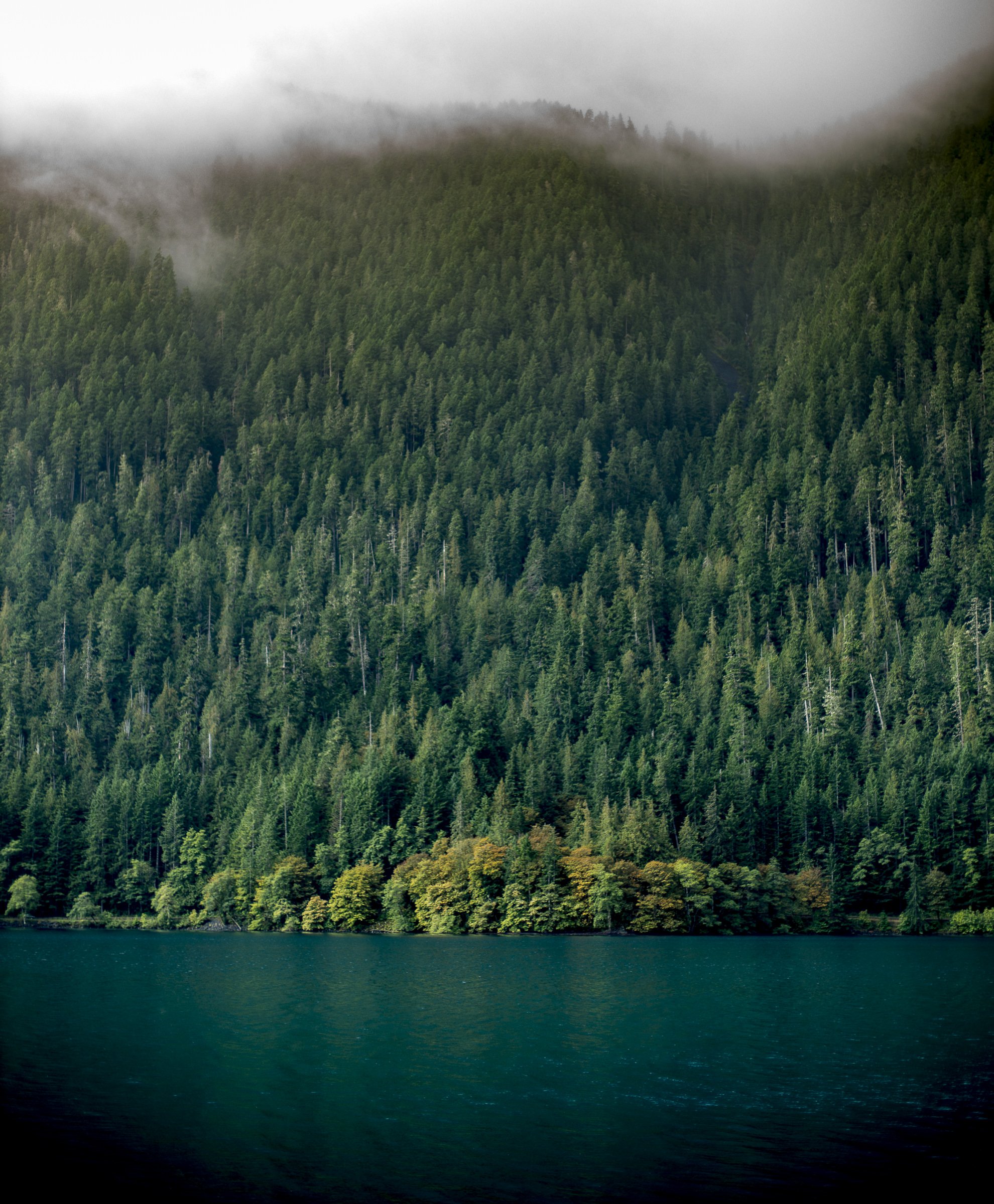 pnw_23.jpg
