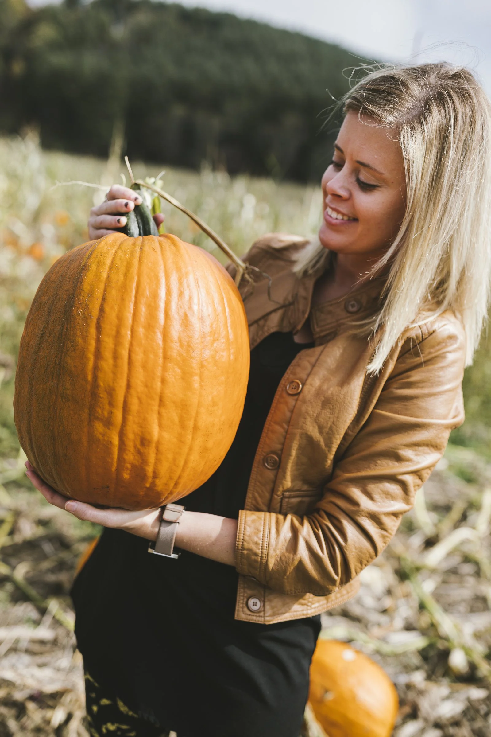 pumpkin_new_river_167.jpg