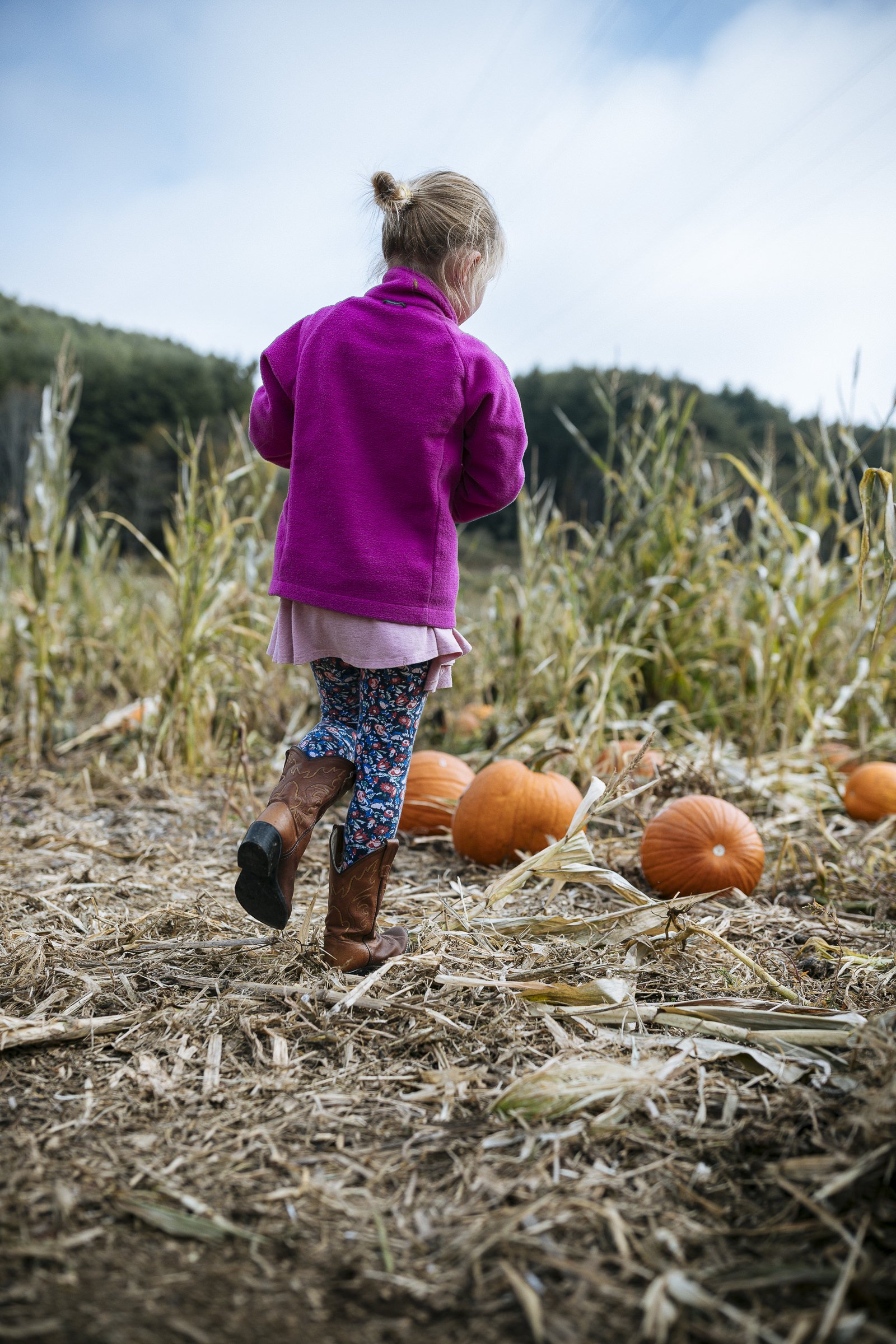 pumpkin_new_river_145.jpg