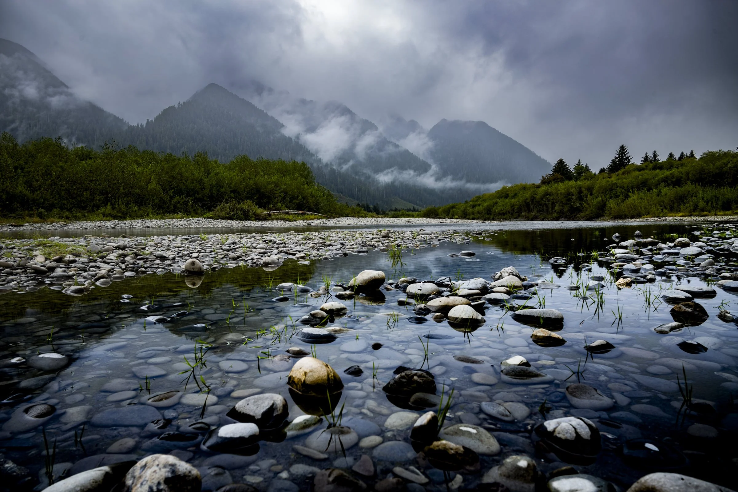 pnw_34.jpg