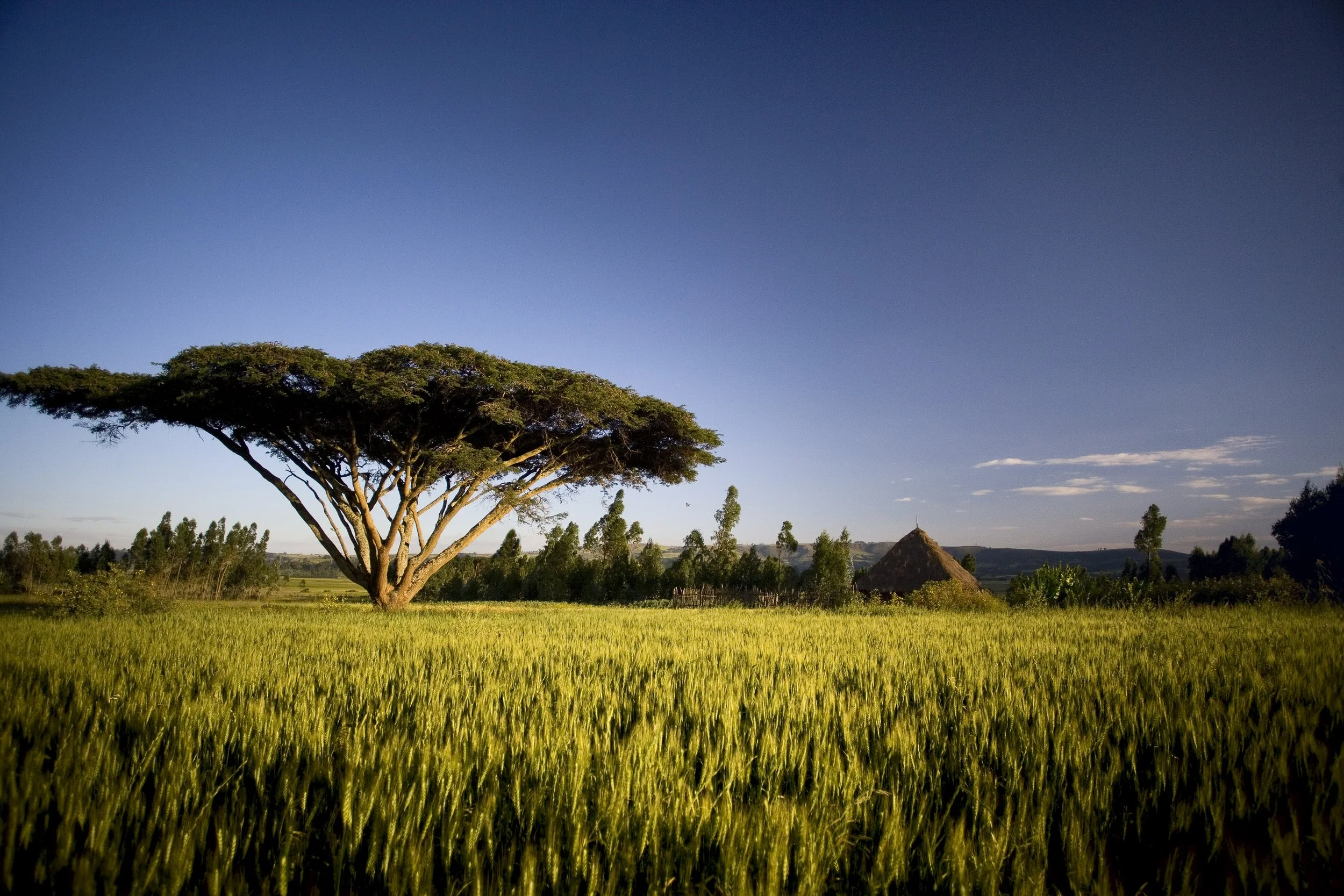 africa_16.jpg