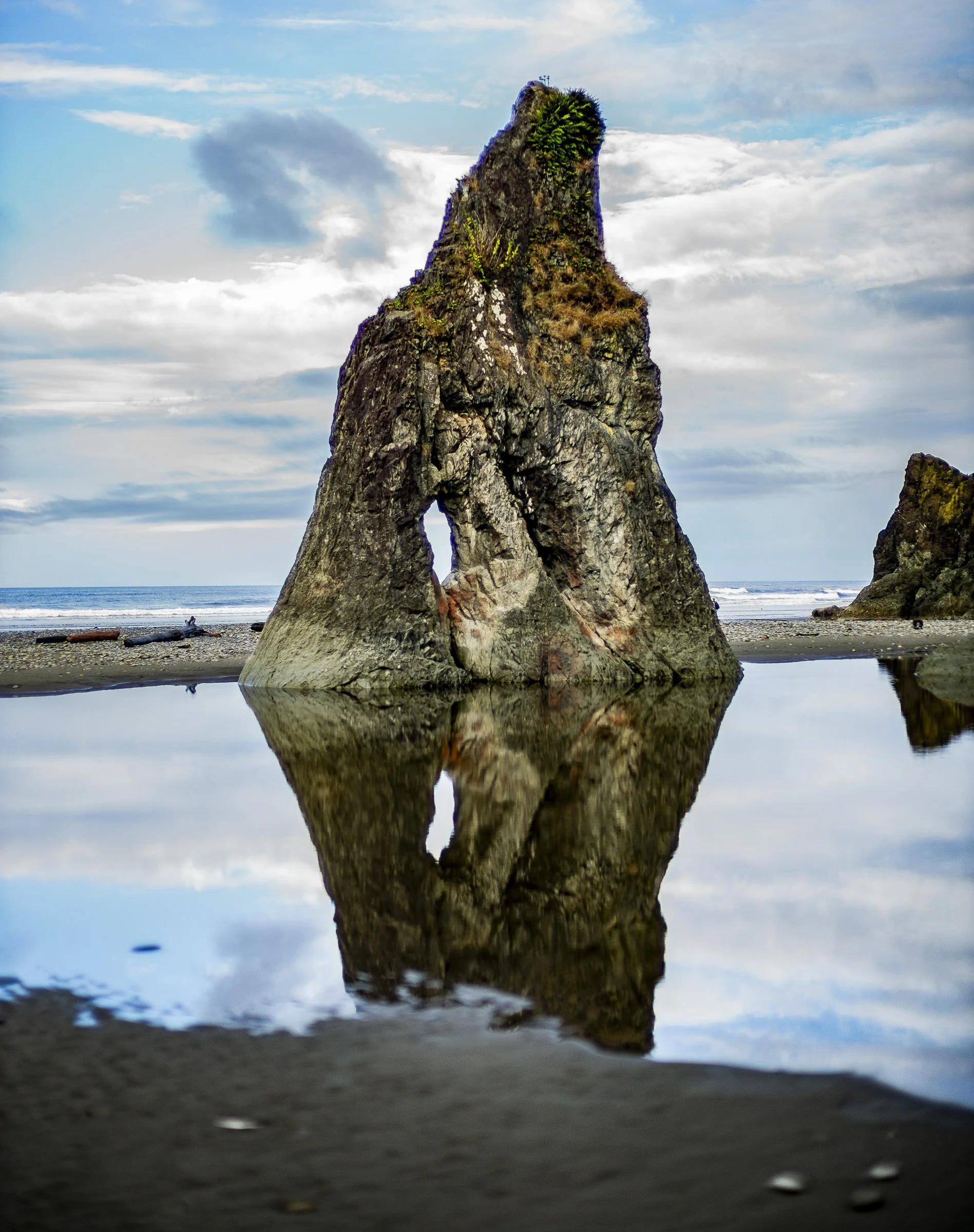 pnw_25.jpg