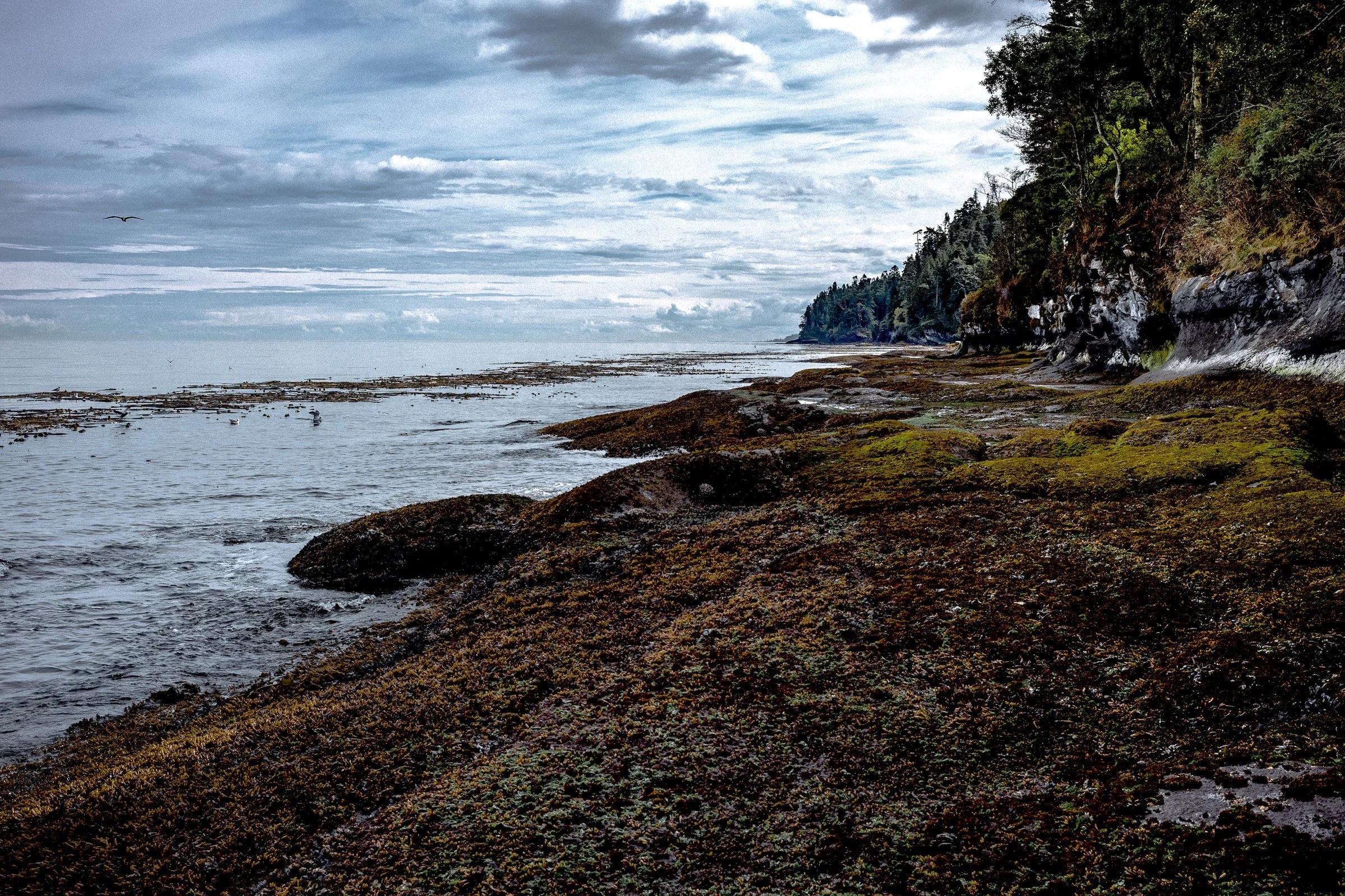 pnw_68.jpg