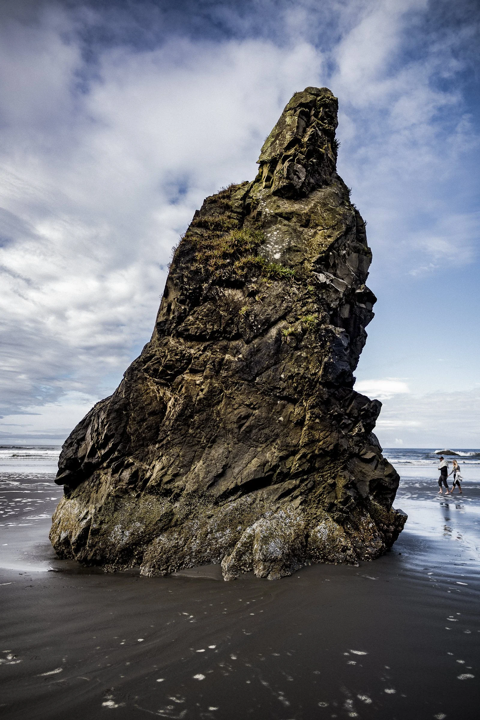 pnw_61.jpg