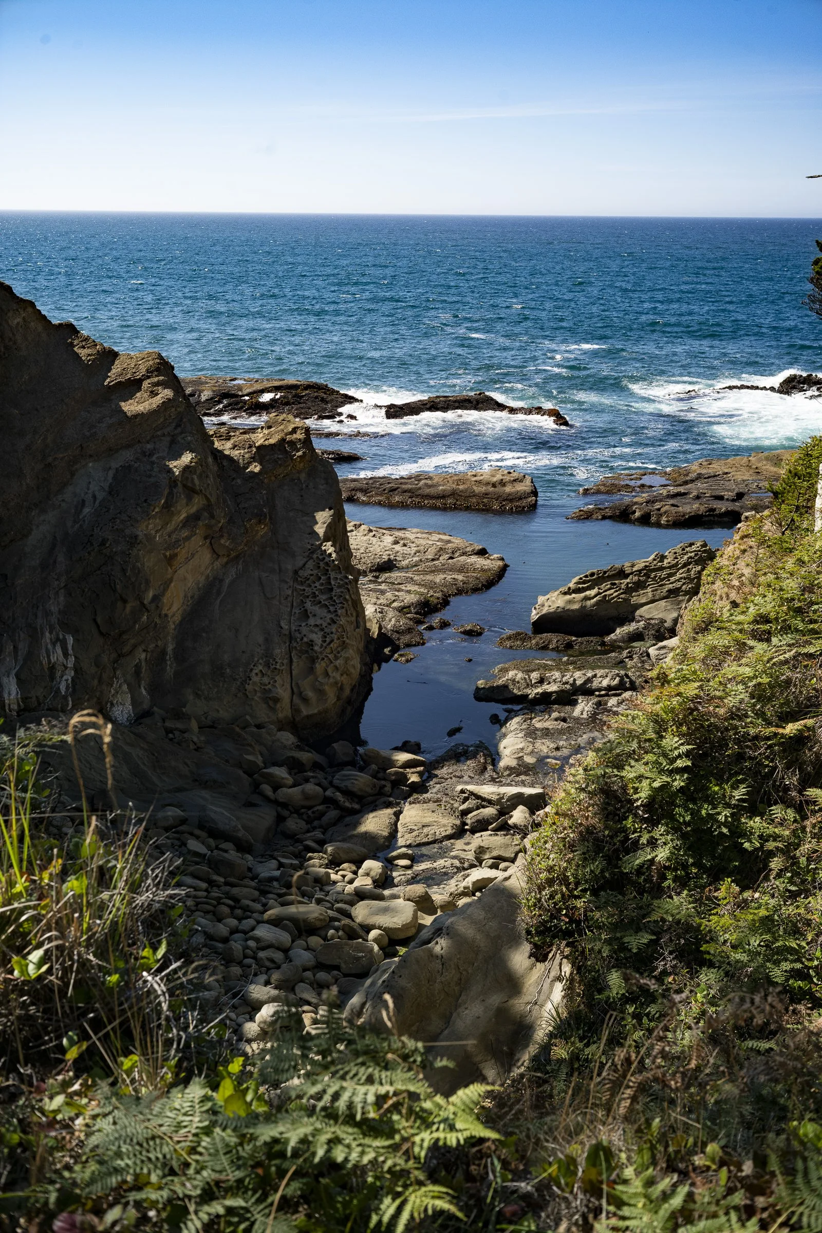 pnw_39.jpg