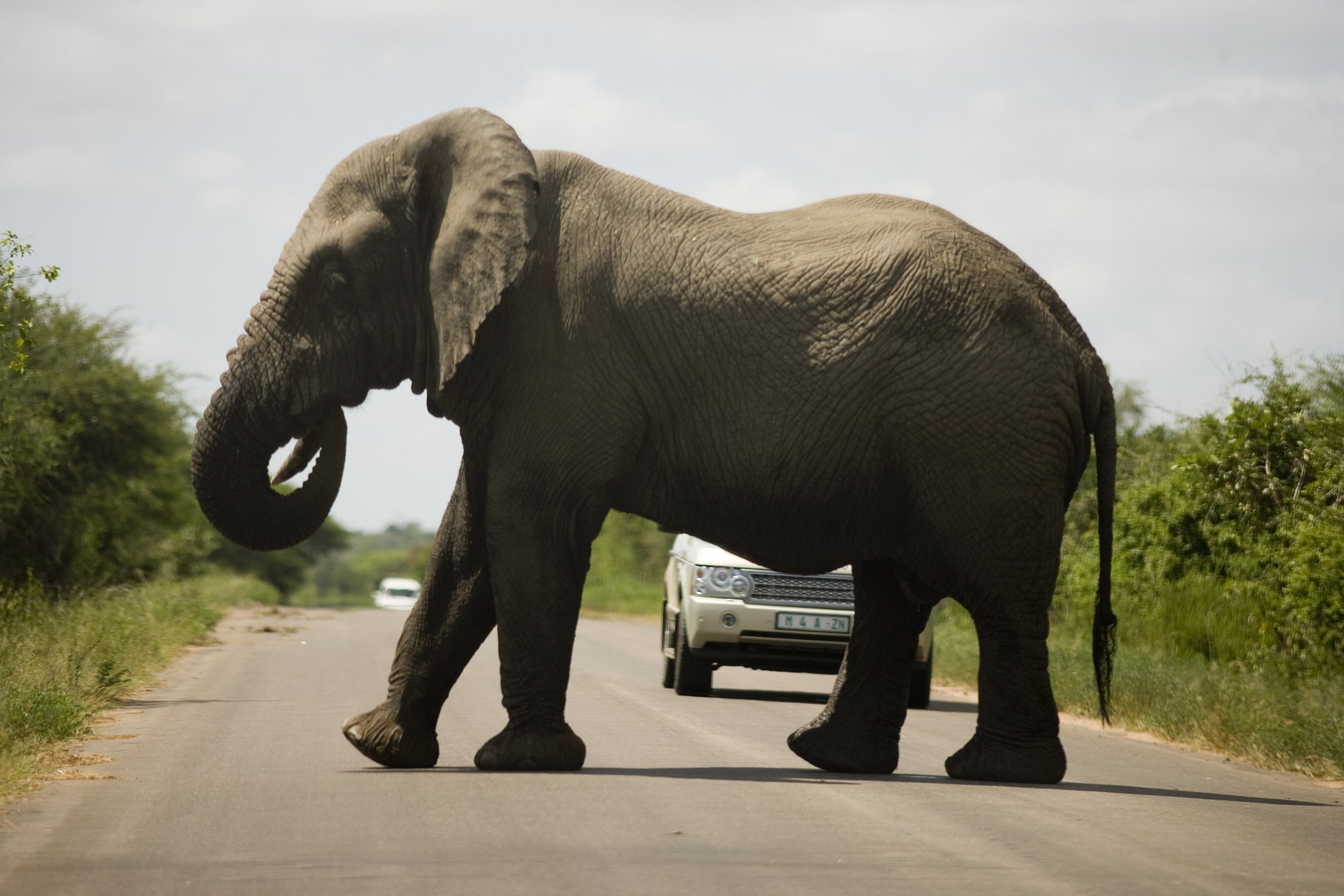 africa_09.jpg
