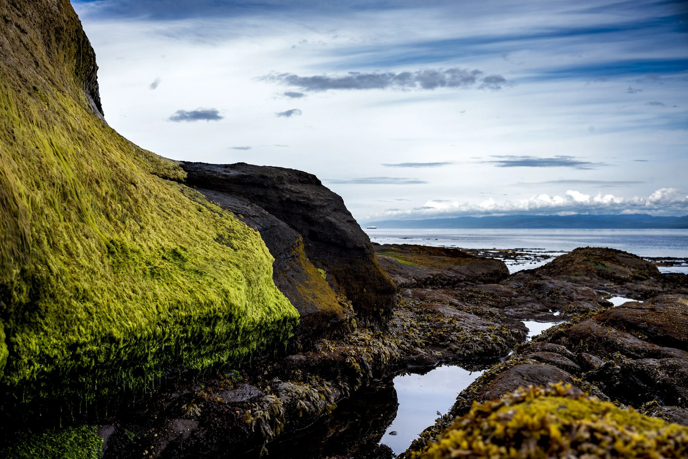 pnw_02.jpg