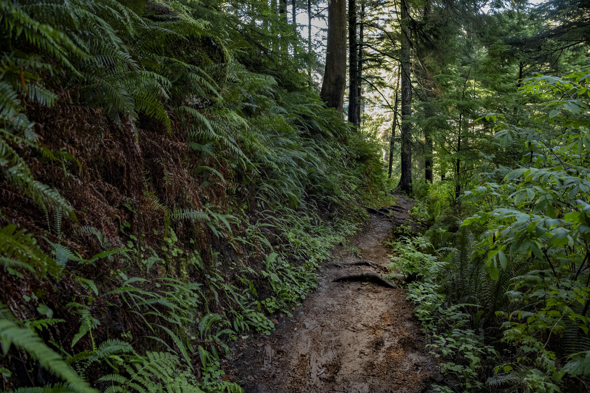 pnw_30.jpg