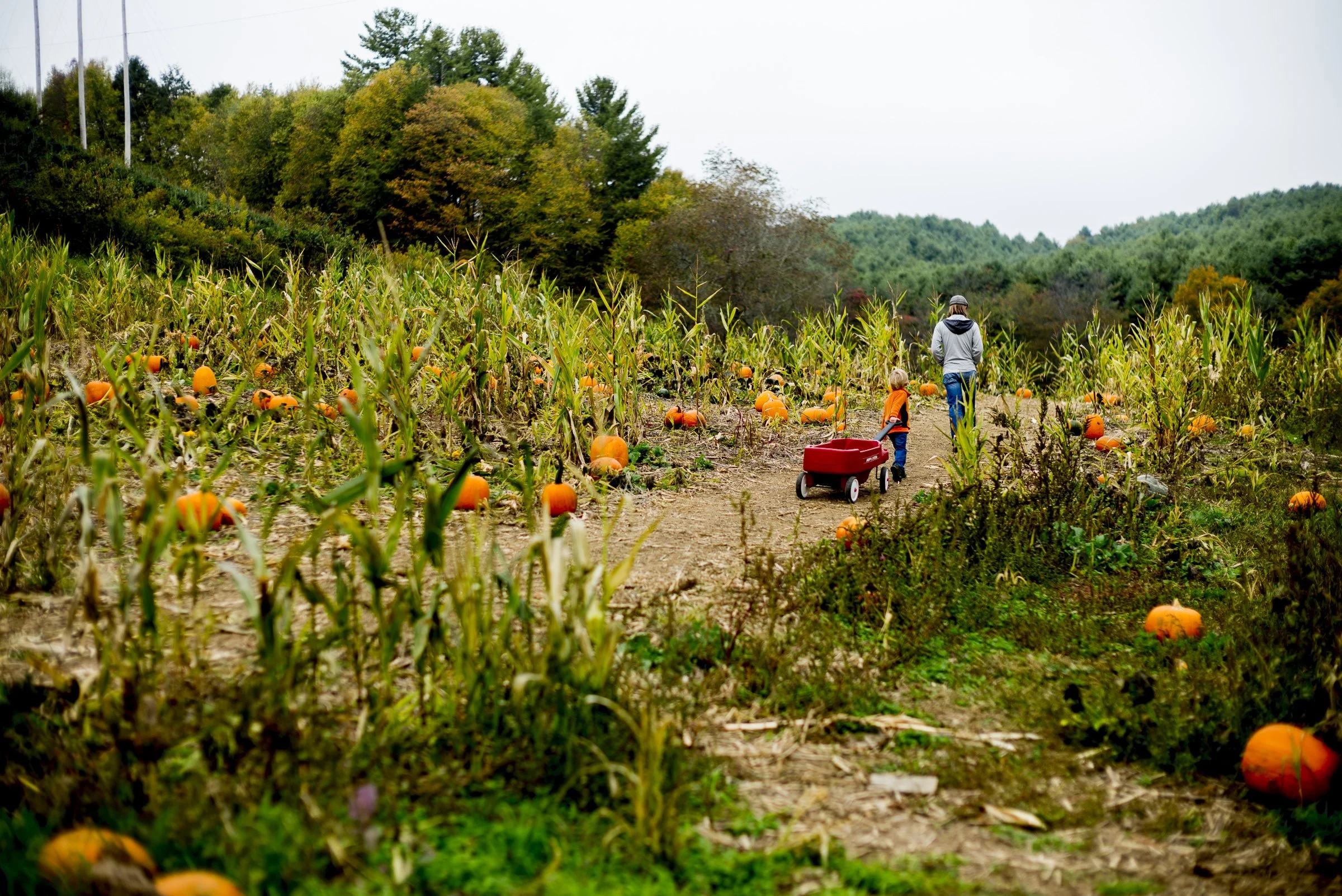 pumpkin_new_river_L_722.jpg