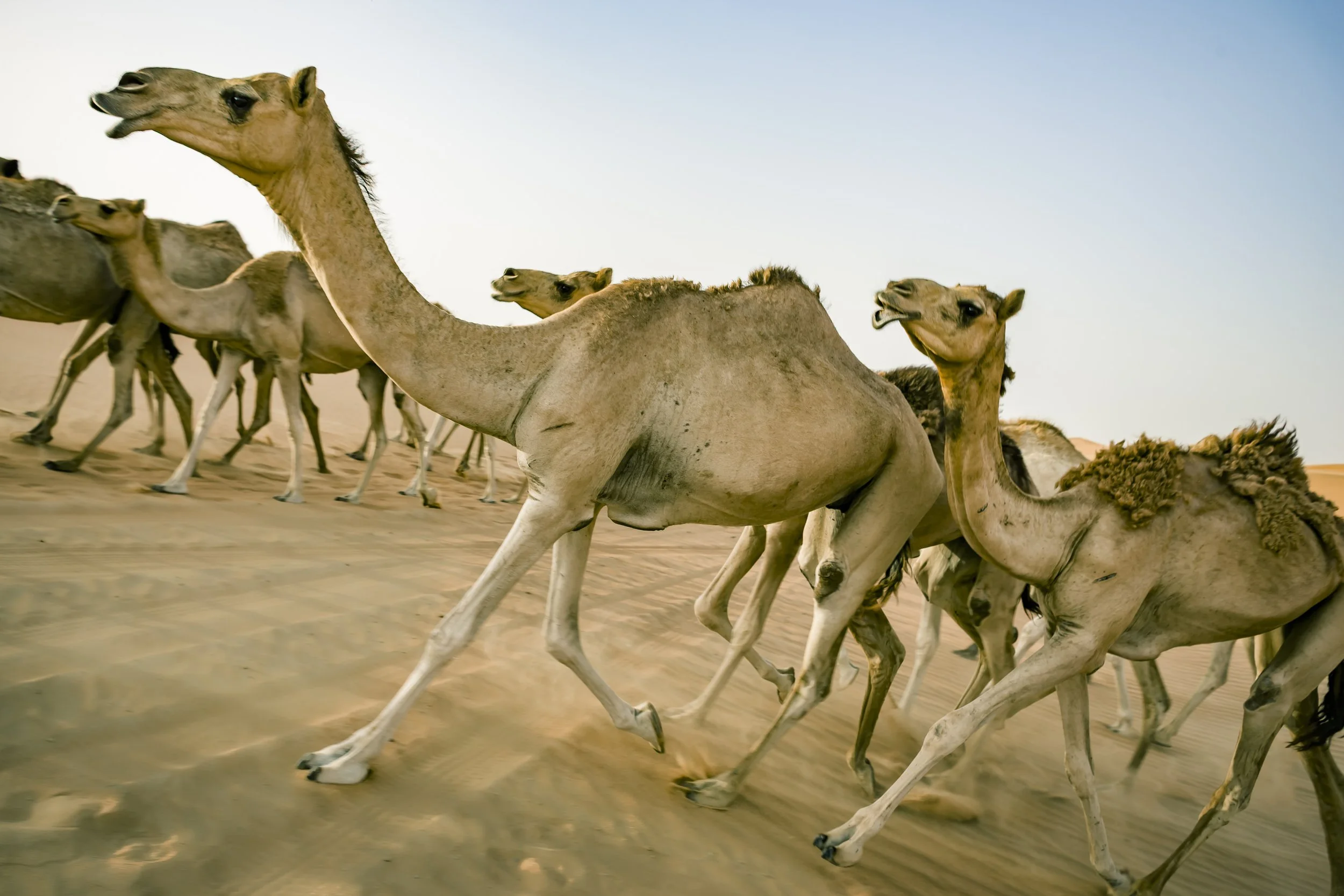travel_53.jpg