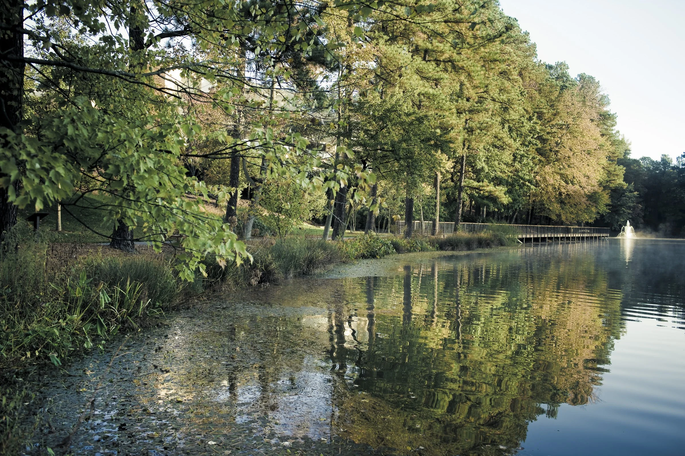 umstead_38.jpg