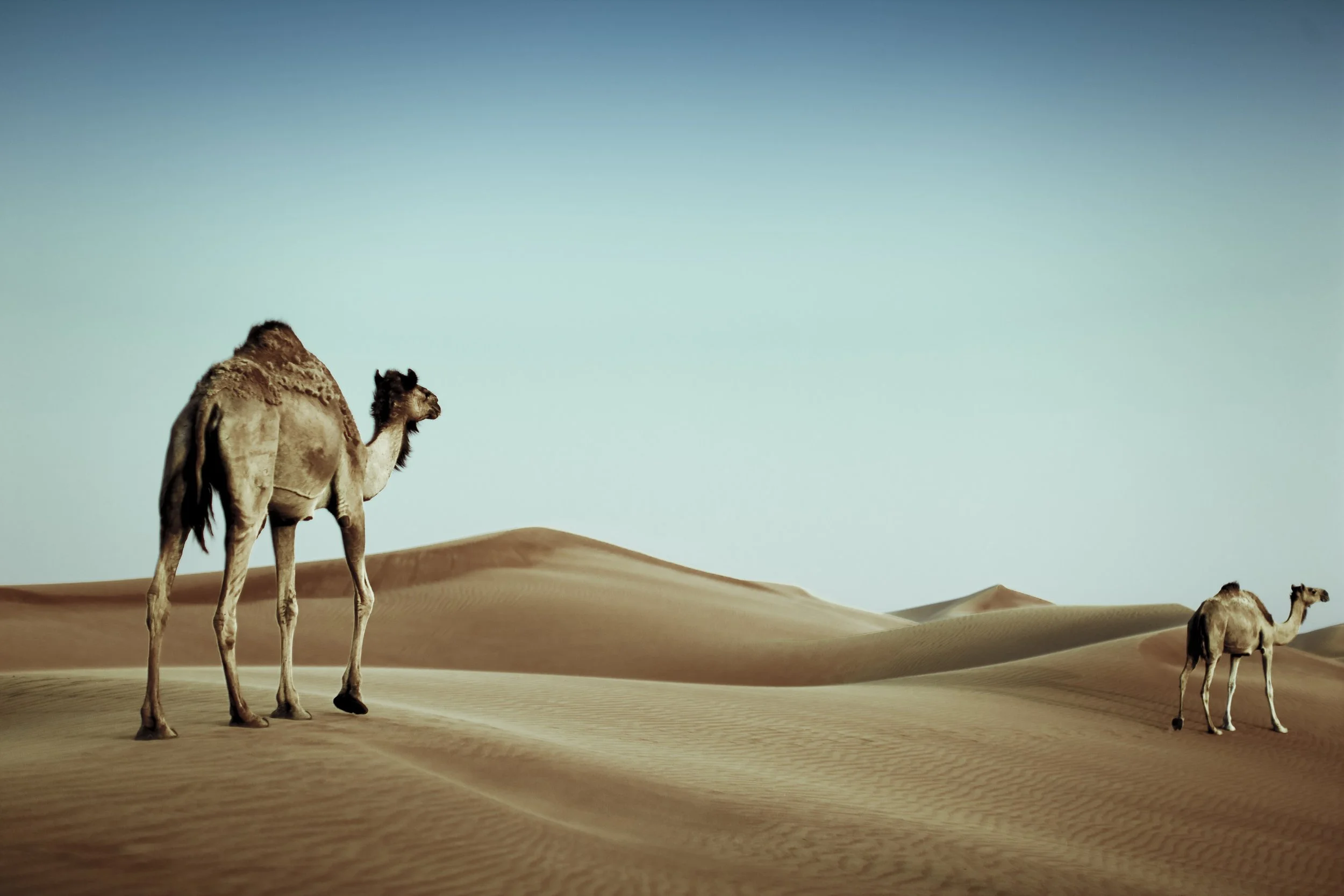 travel_09.jpg