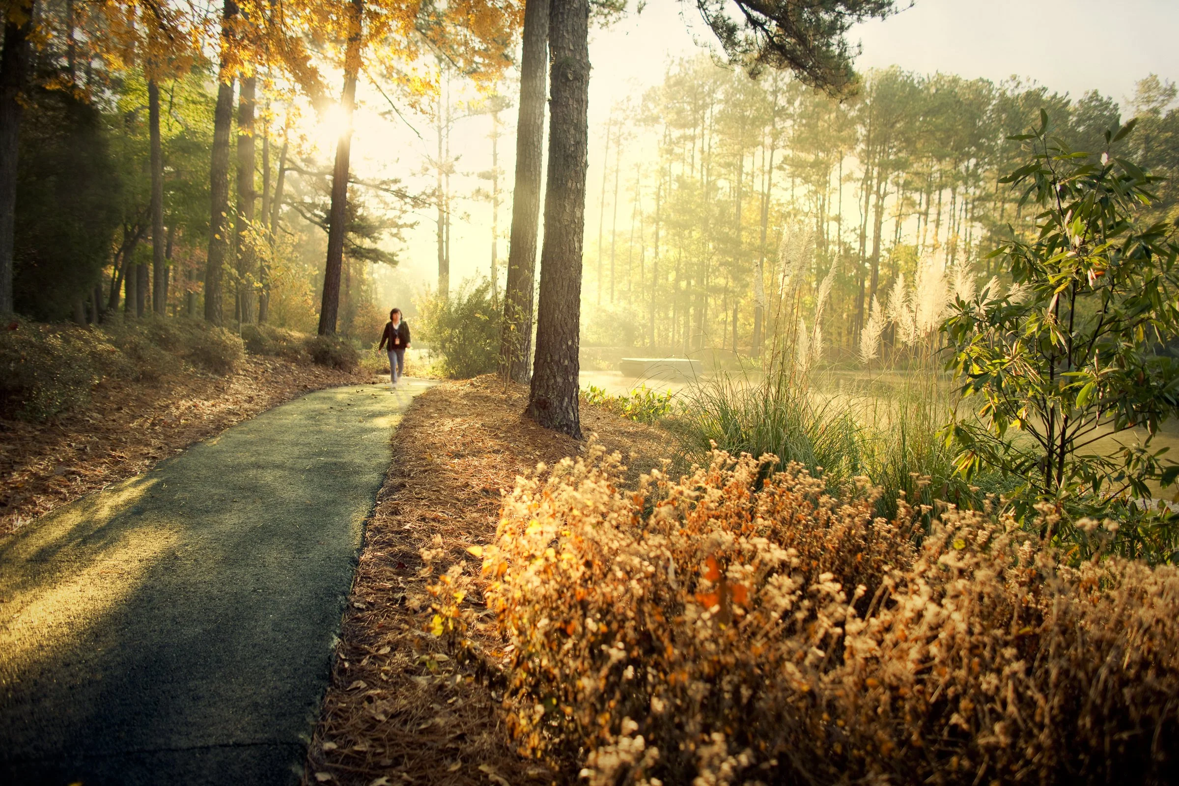 umstead_35.jpg