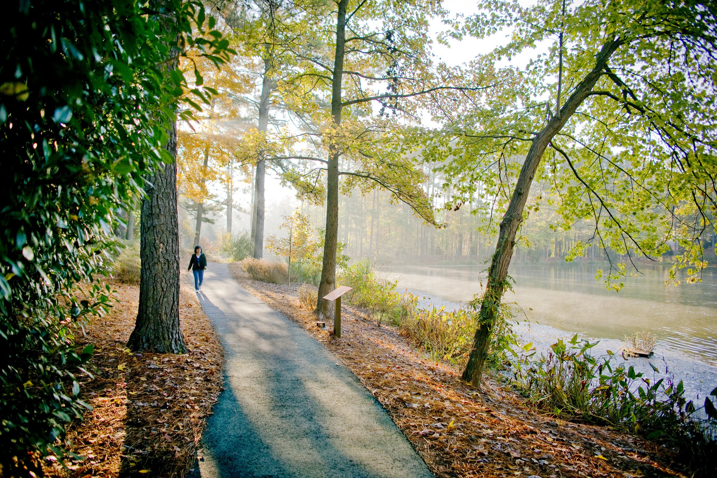 umstead_80.jpg