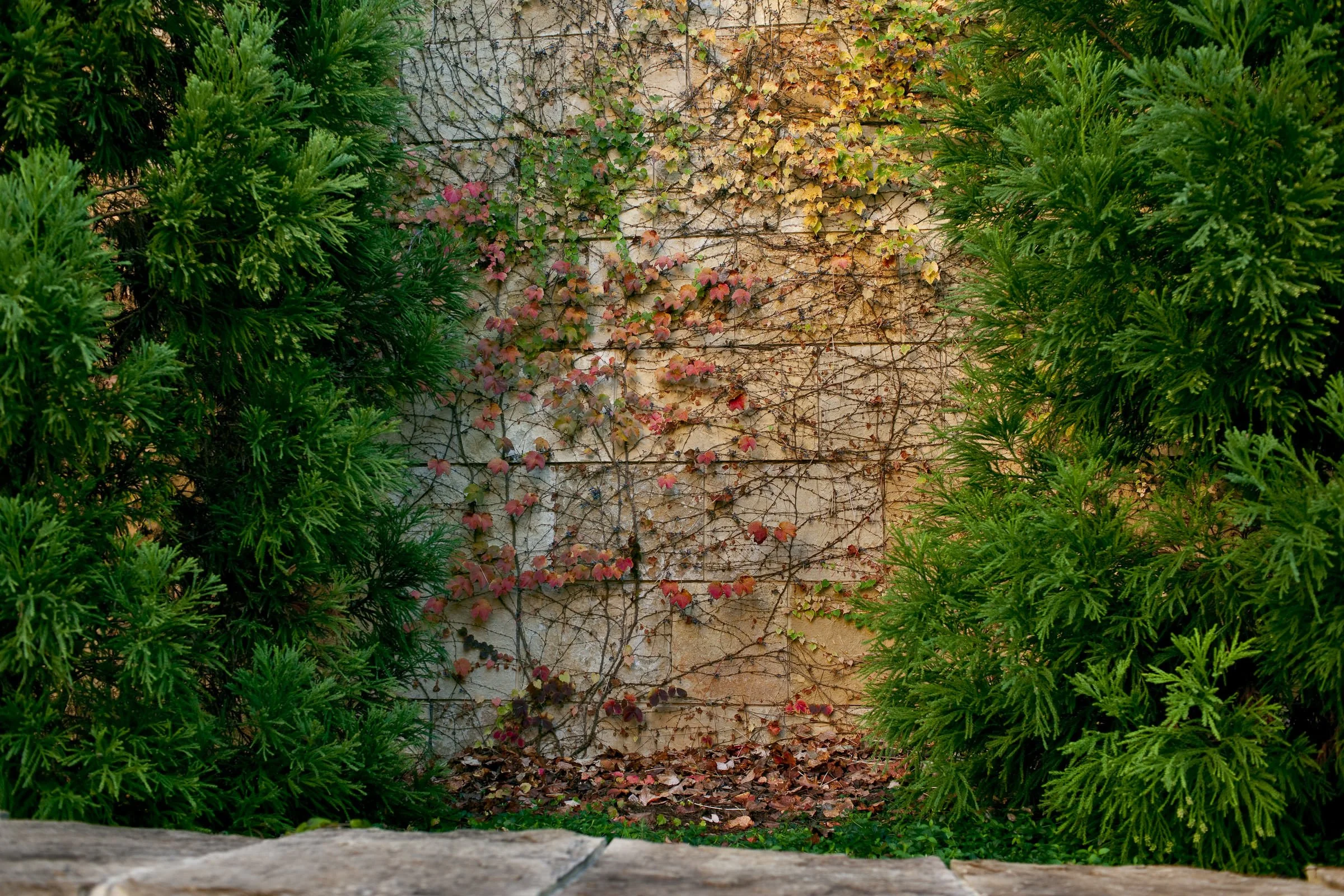 umstead_118.jpg