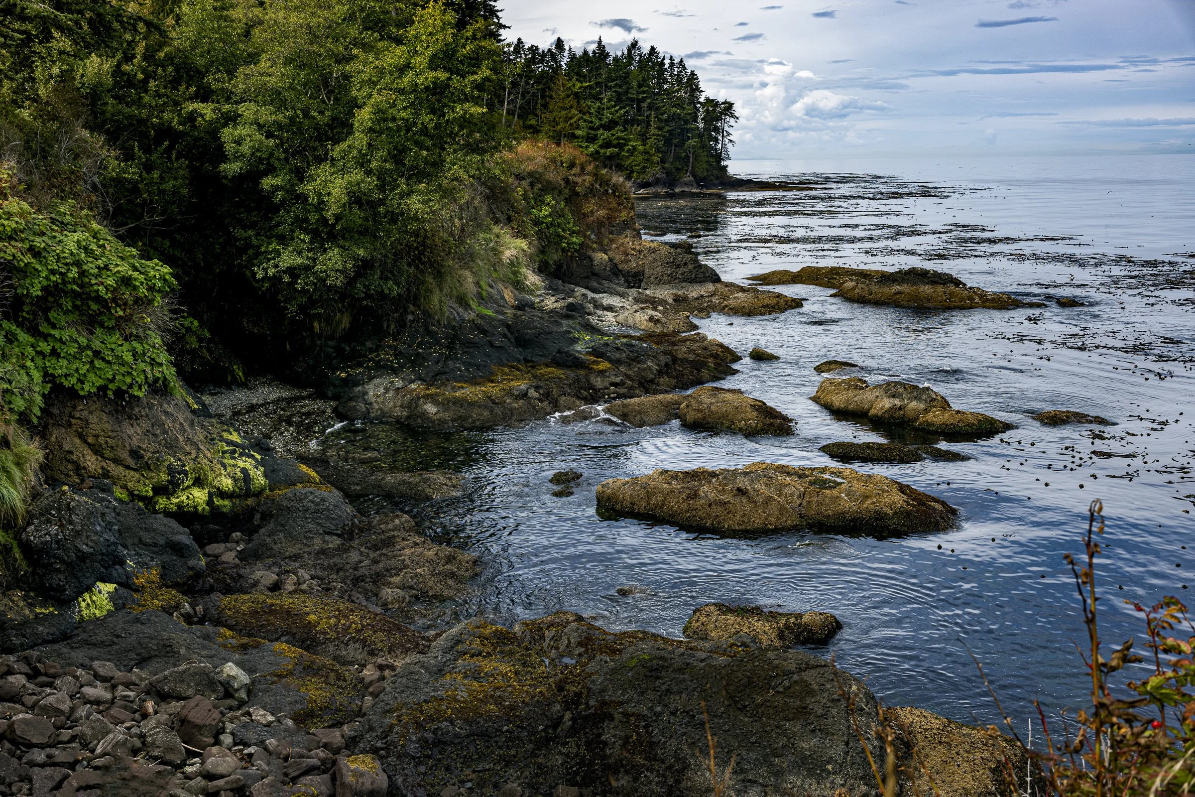 pnw_55.jpg