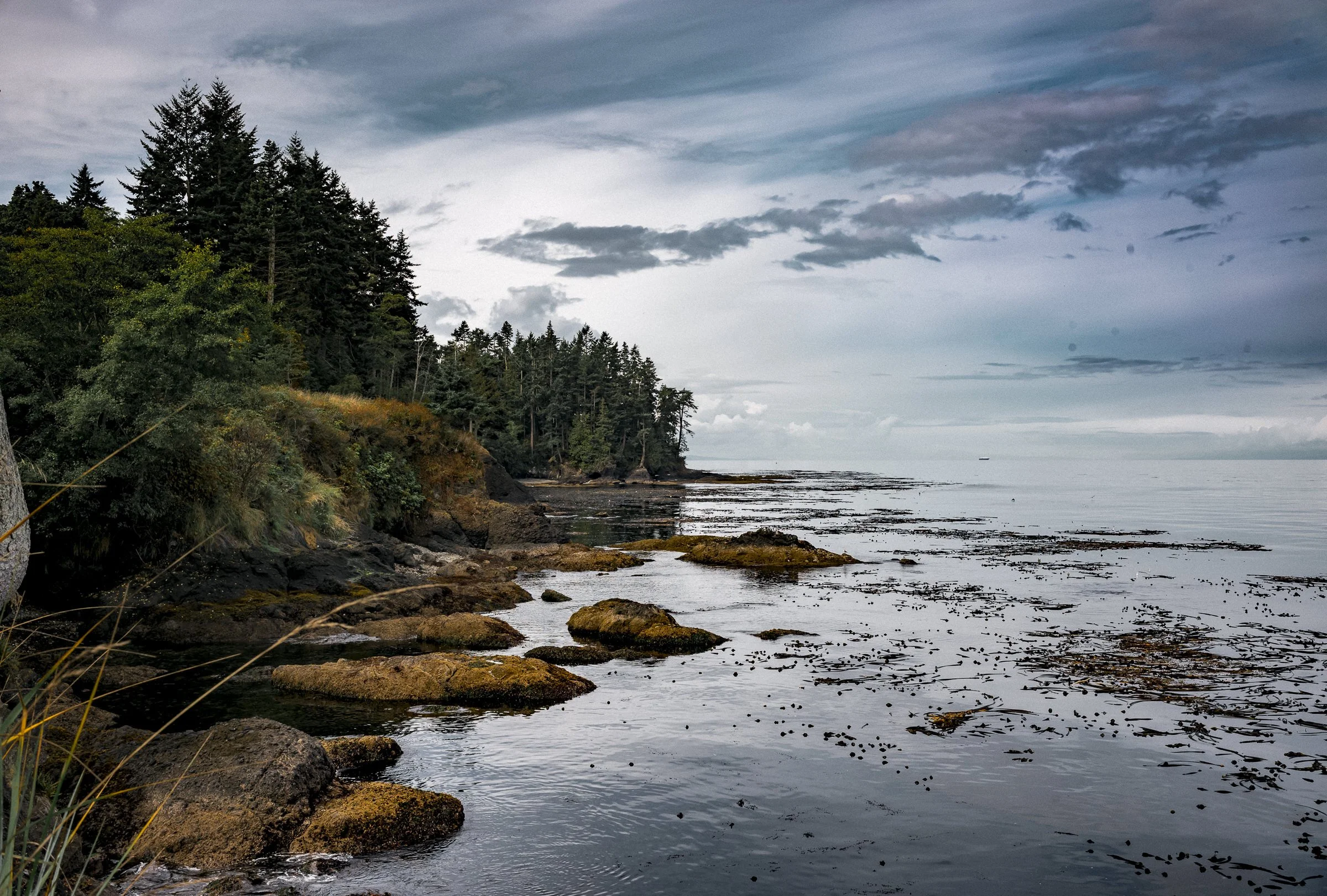 pnw_06.jpg