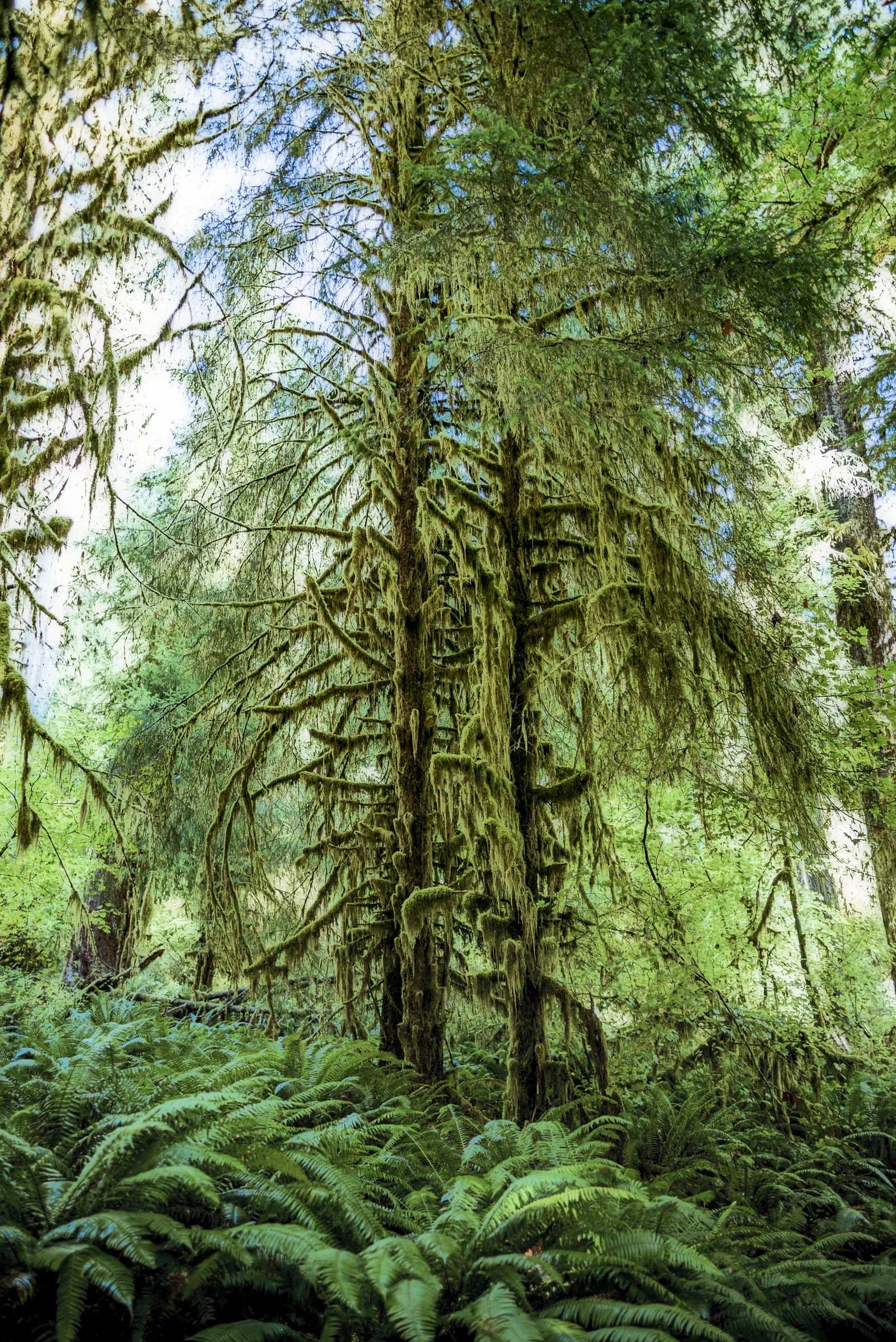 pnw_13.jpg