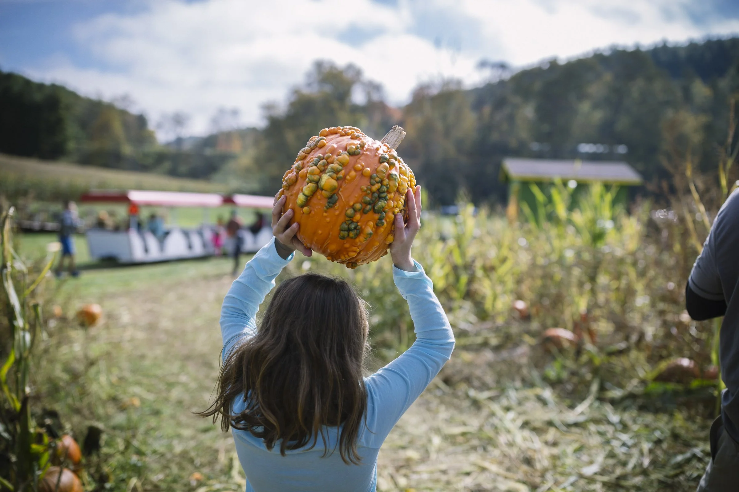 pumpkin_new_river_286.jpg