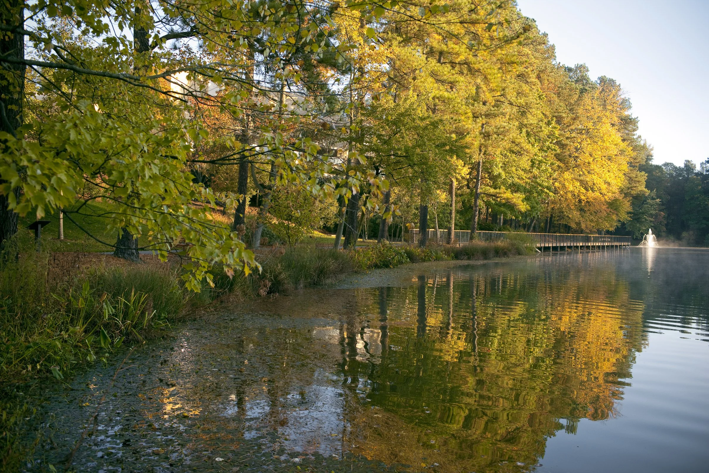 umstead_07.jpg