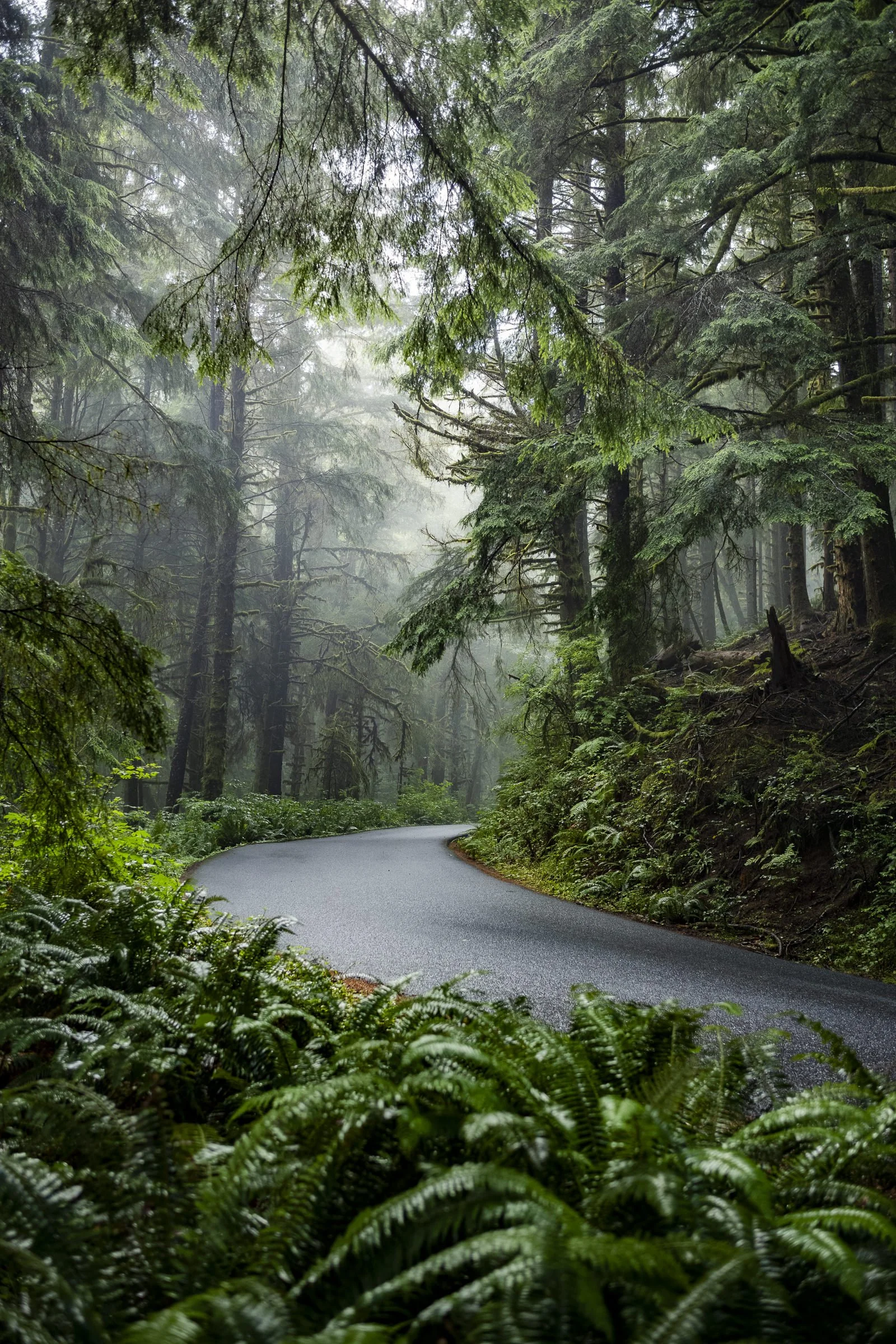 pnw_67.jpg