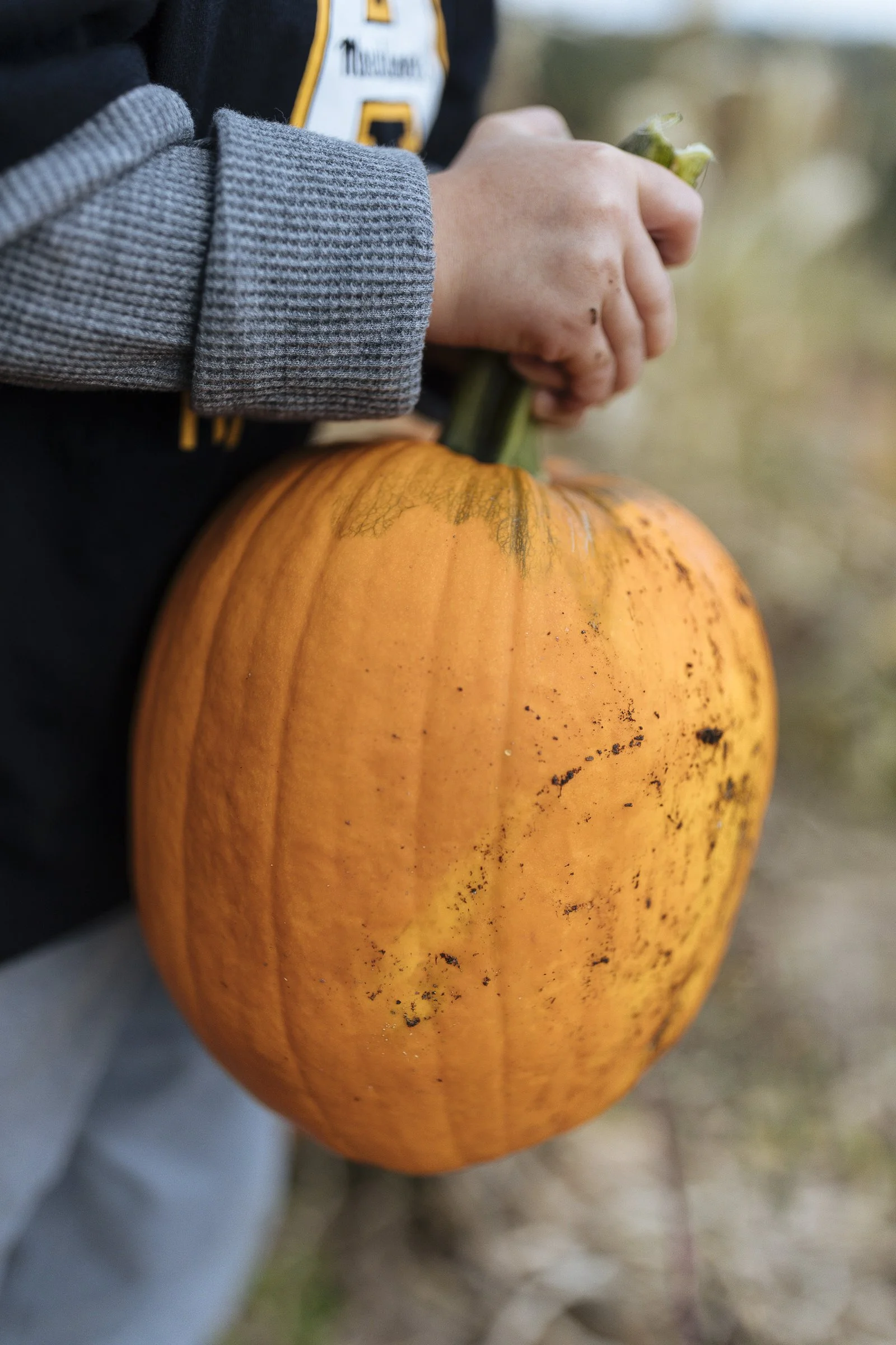 pumpkin_new_river_133.jpg
