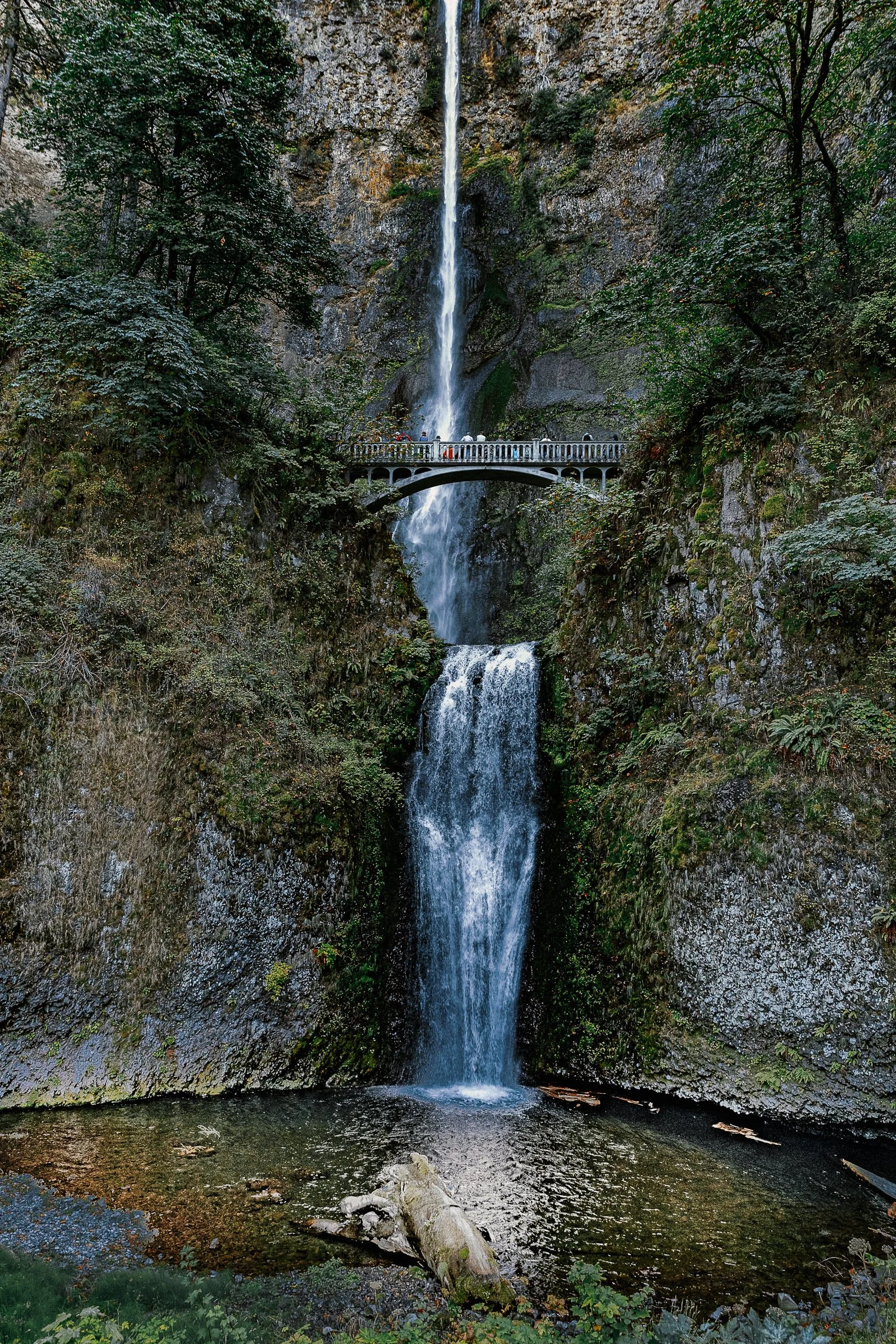 pnw_18.jpg