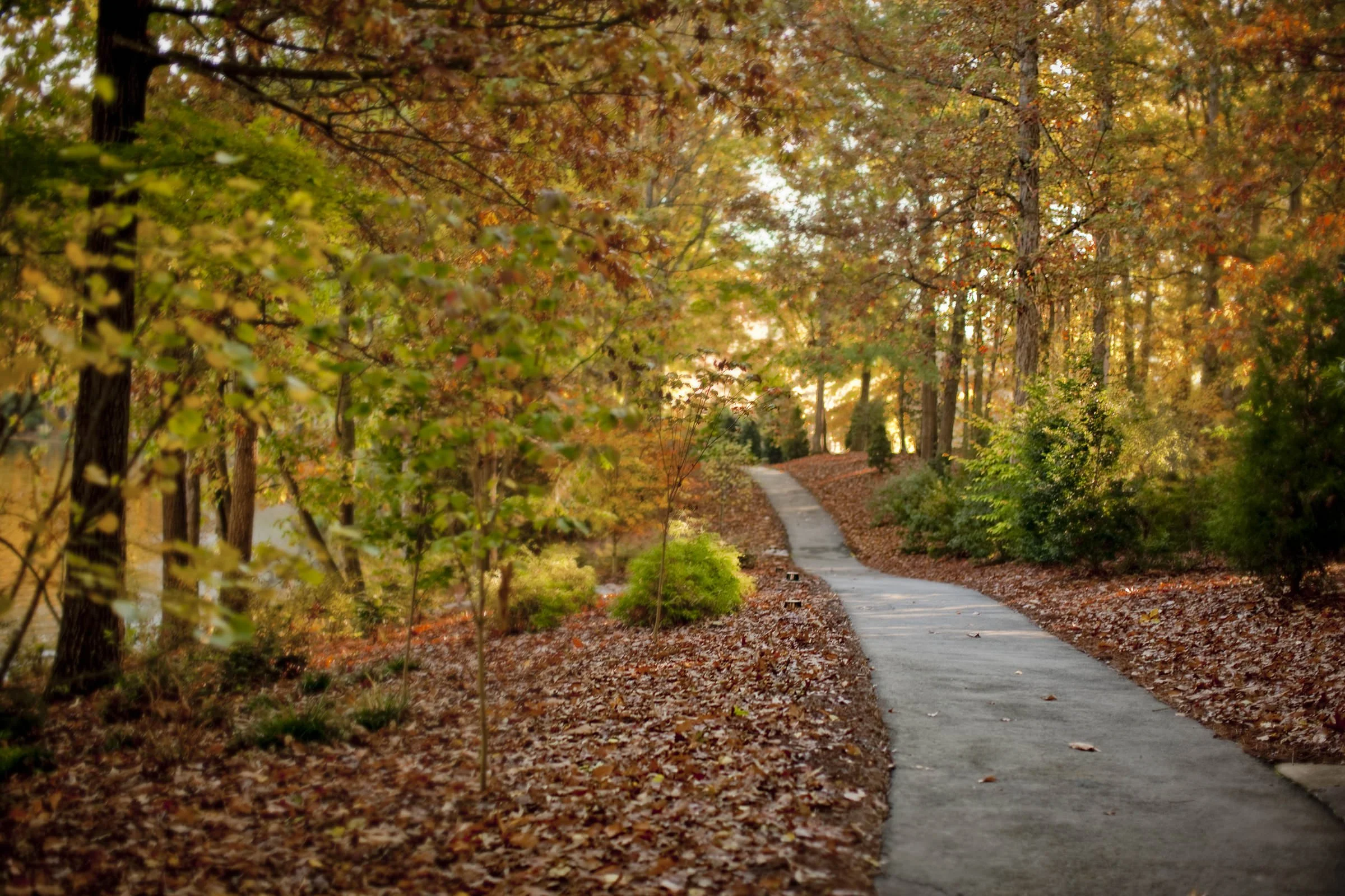 umstead_101.jpg