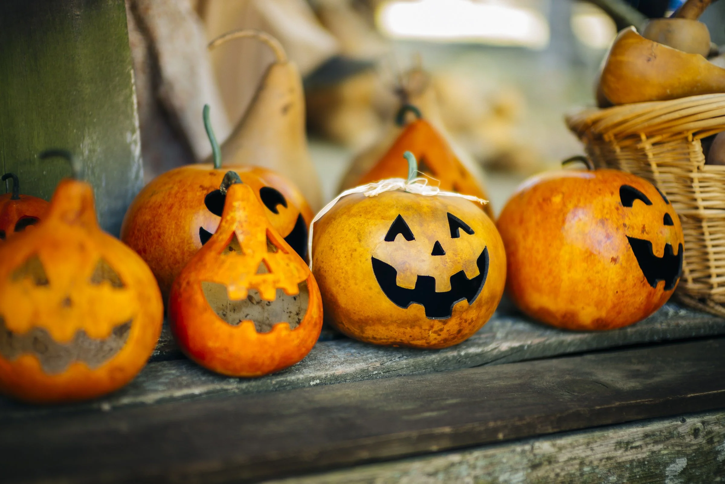 pumpkin_trudgeon_L_417.jpg
