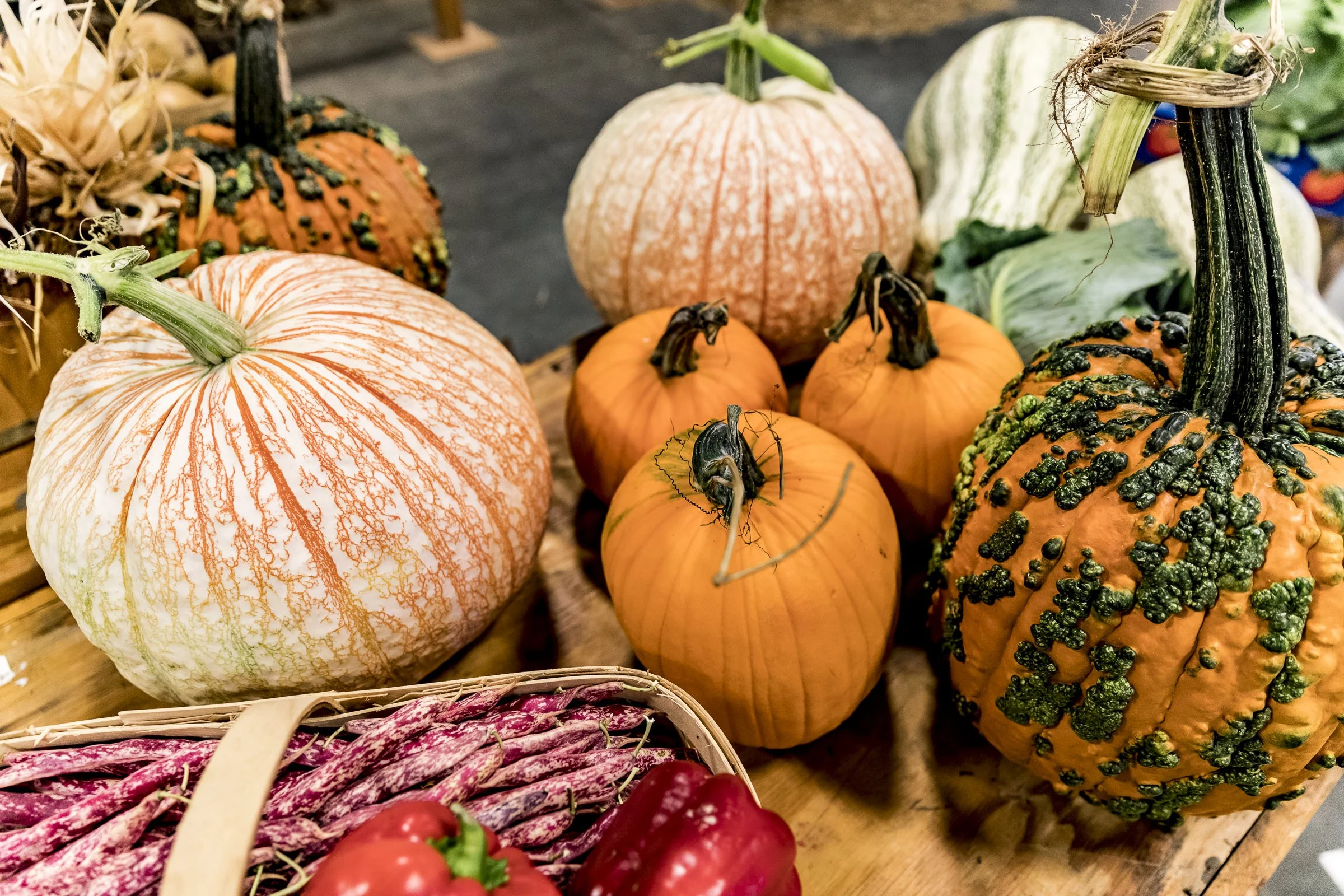 pumpkin_NC_fair_597.jpg