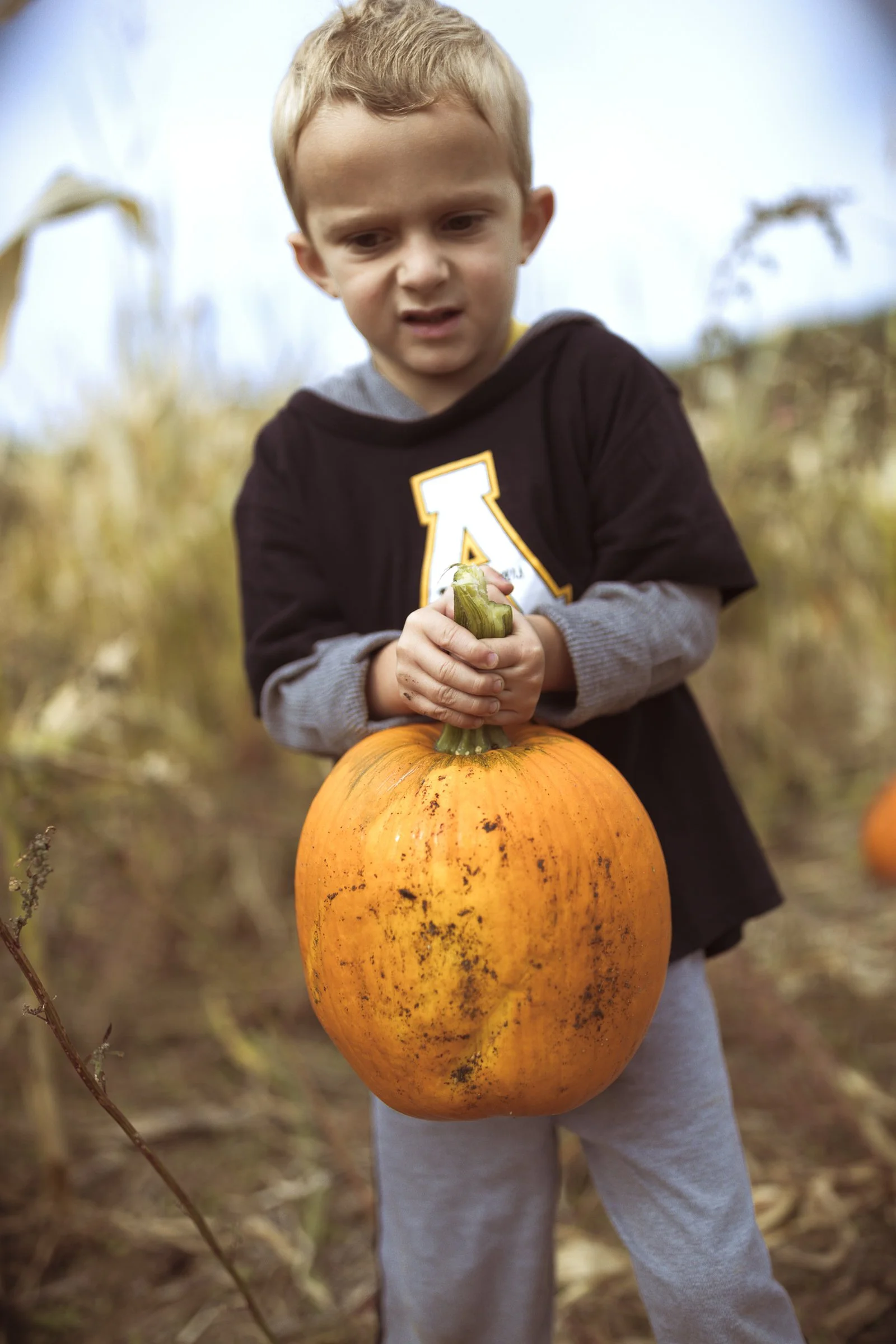pumpkin_new_river_130.jpg