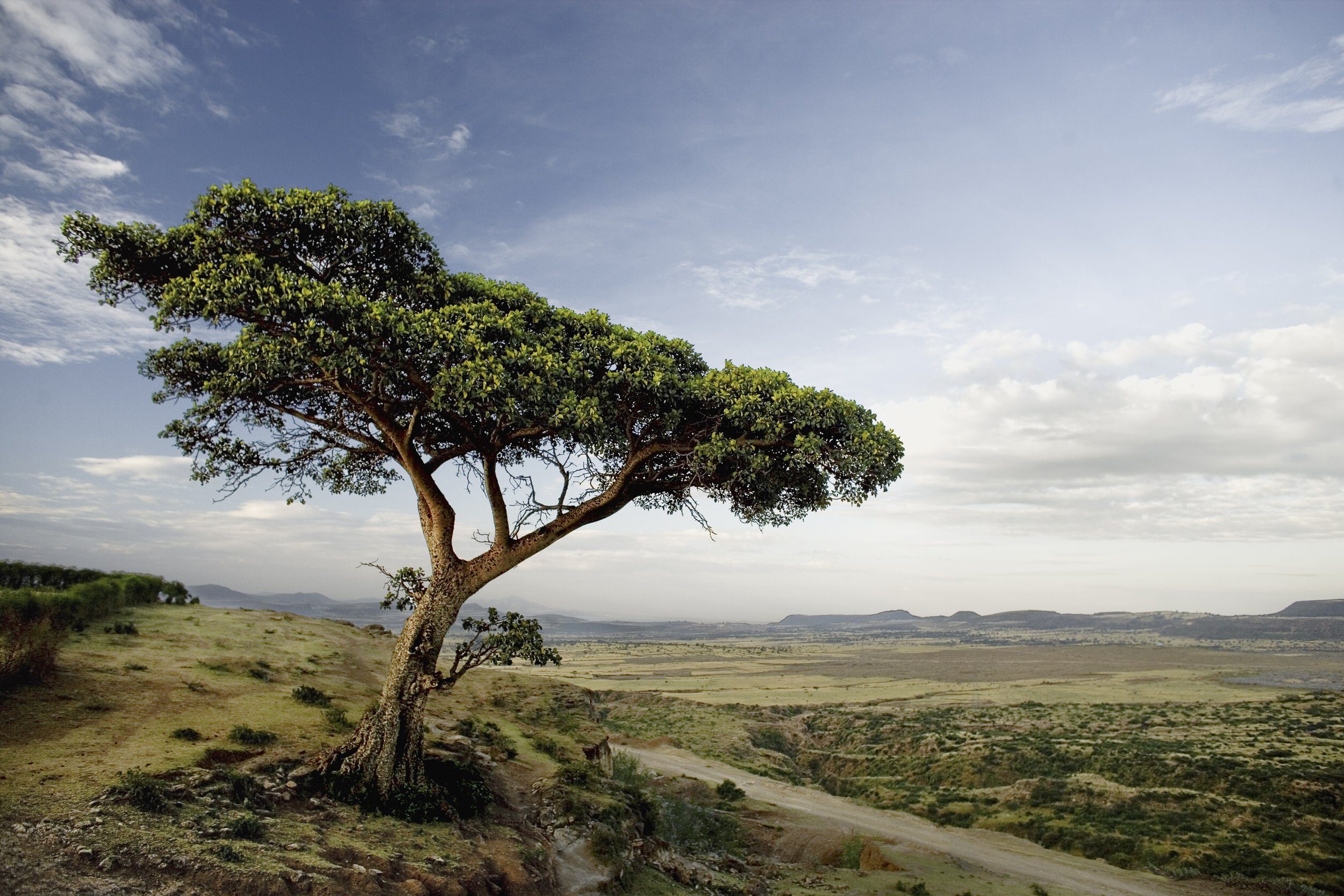 travel_92.jpg