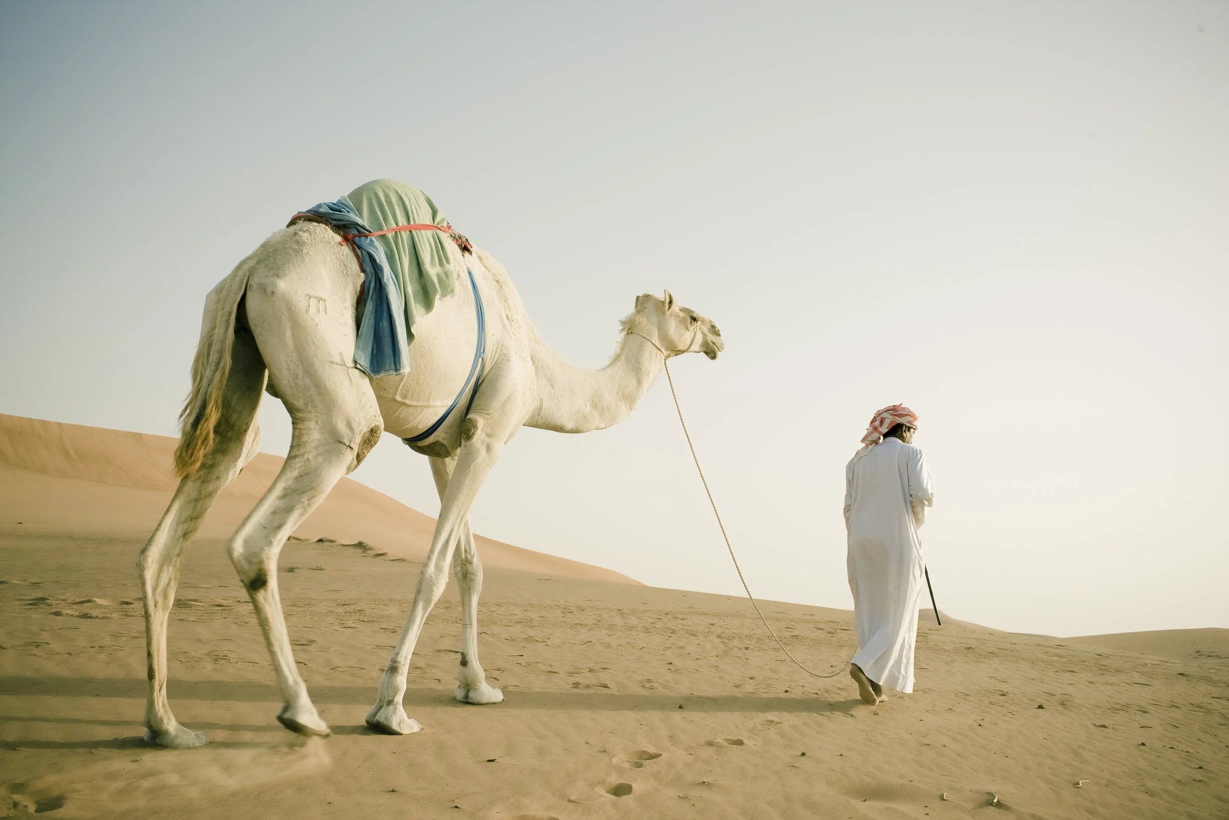 travel_47.jpg
