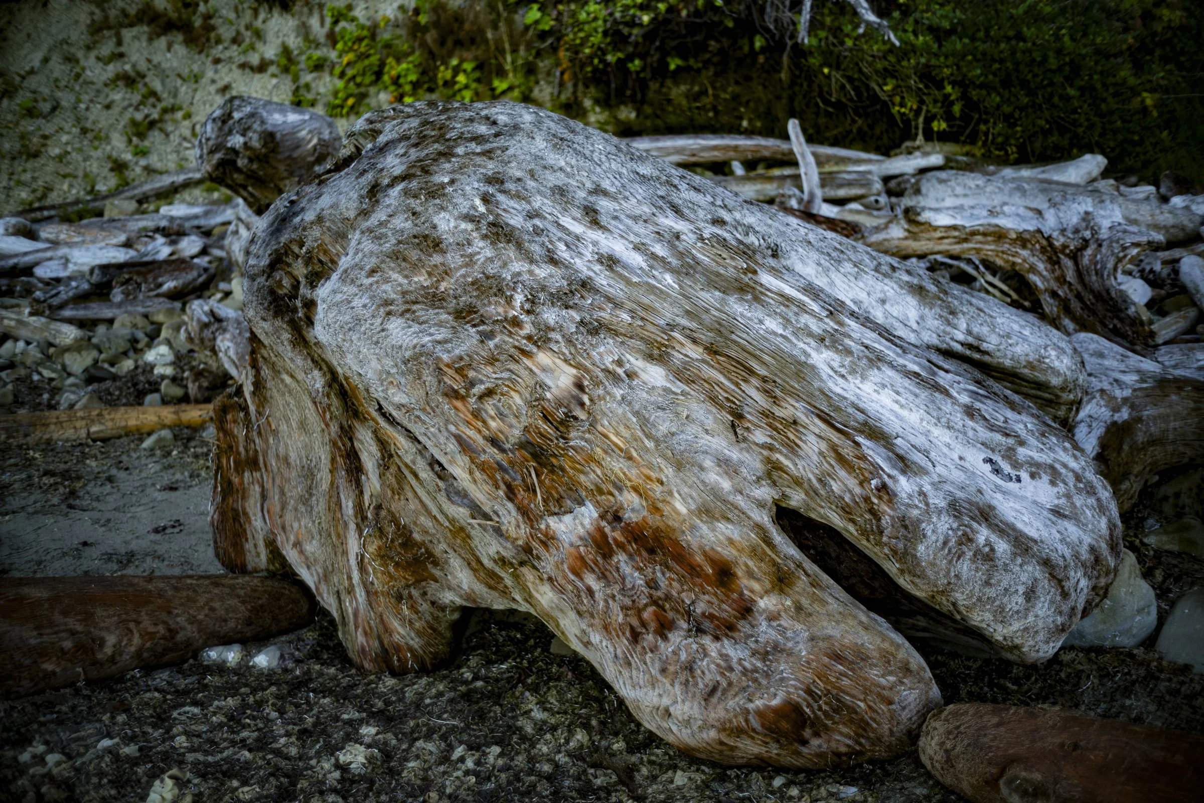 pnw_47.jpg