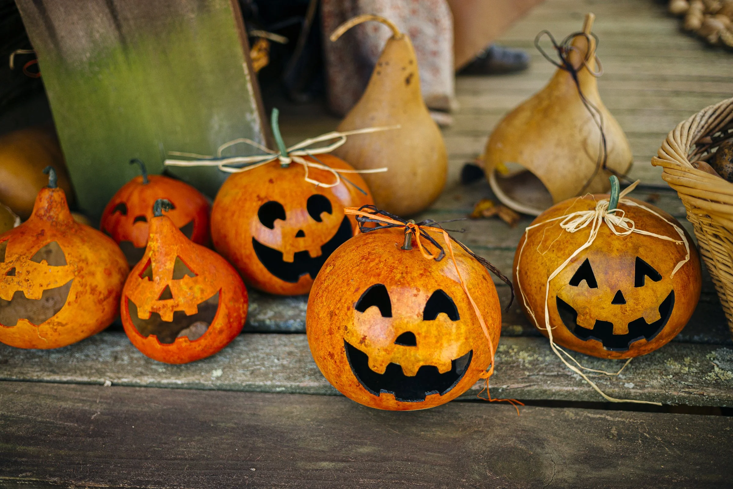 pumpkin_trudgeon_L_554.jpg