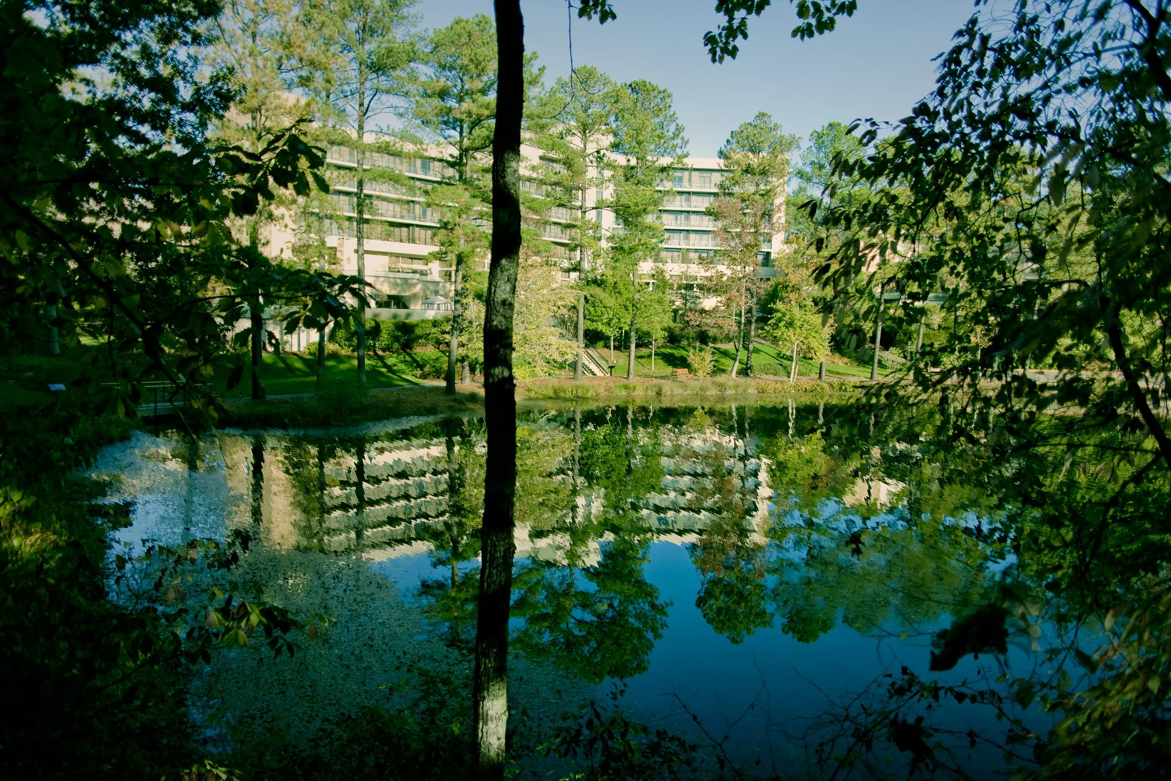 umstead_105.jpg