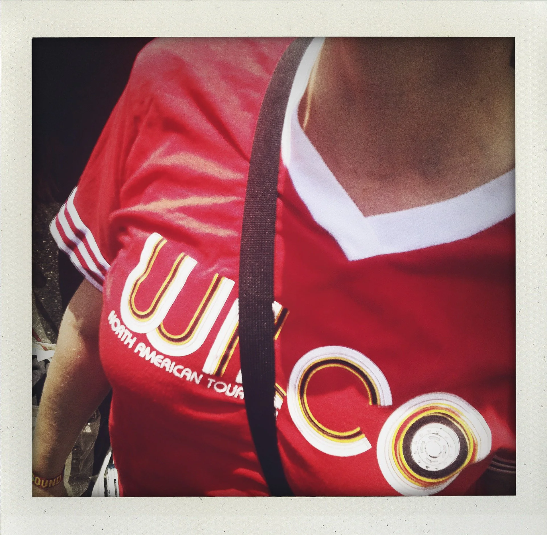 wilco_cotton_46.jpg