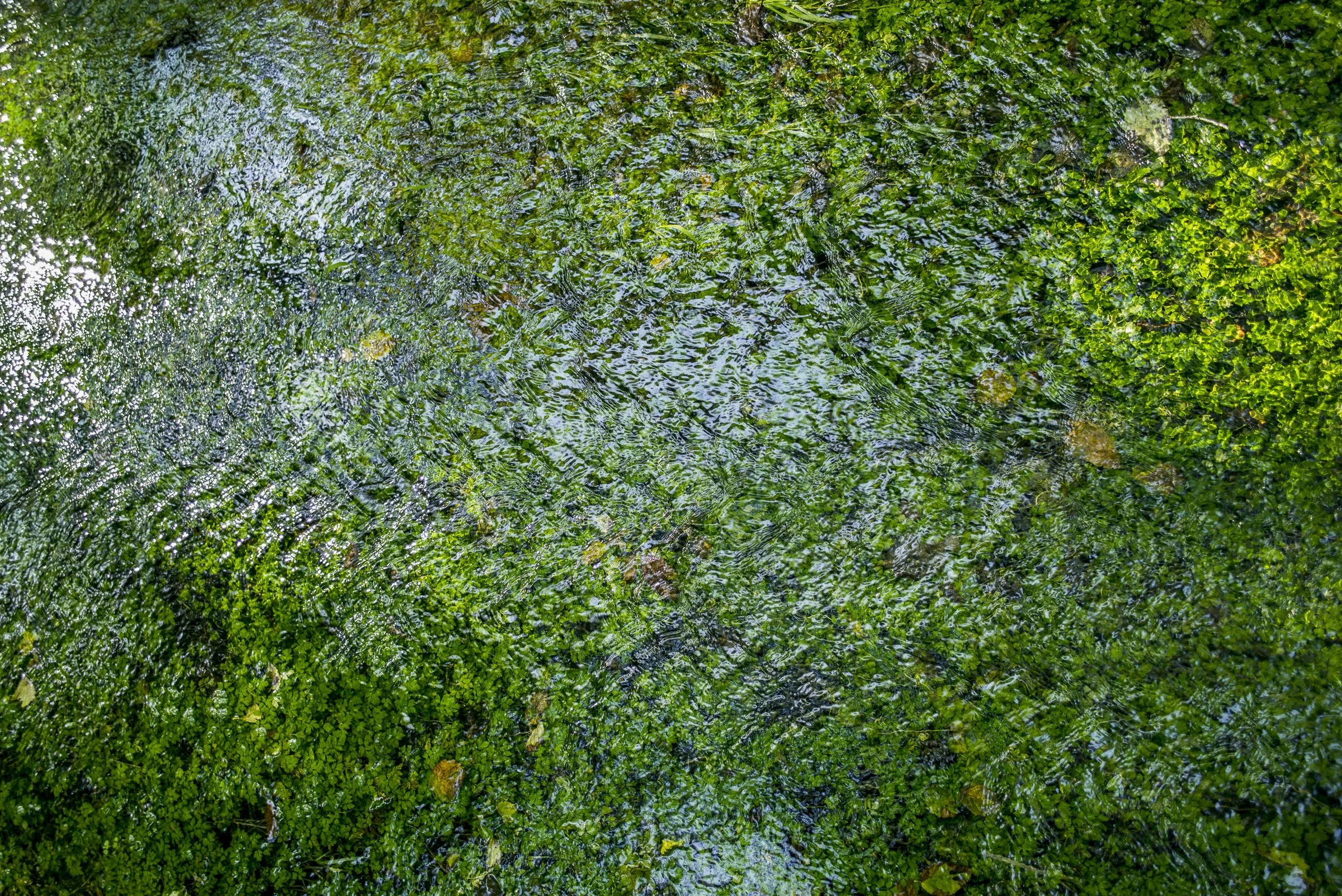 pnw_63.jpg