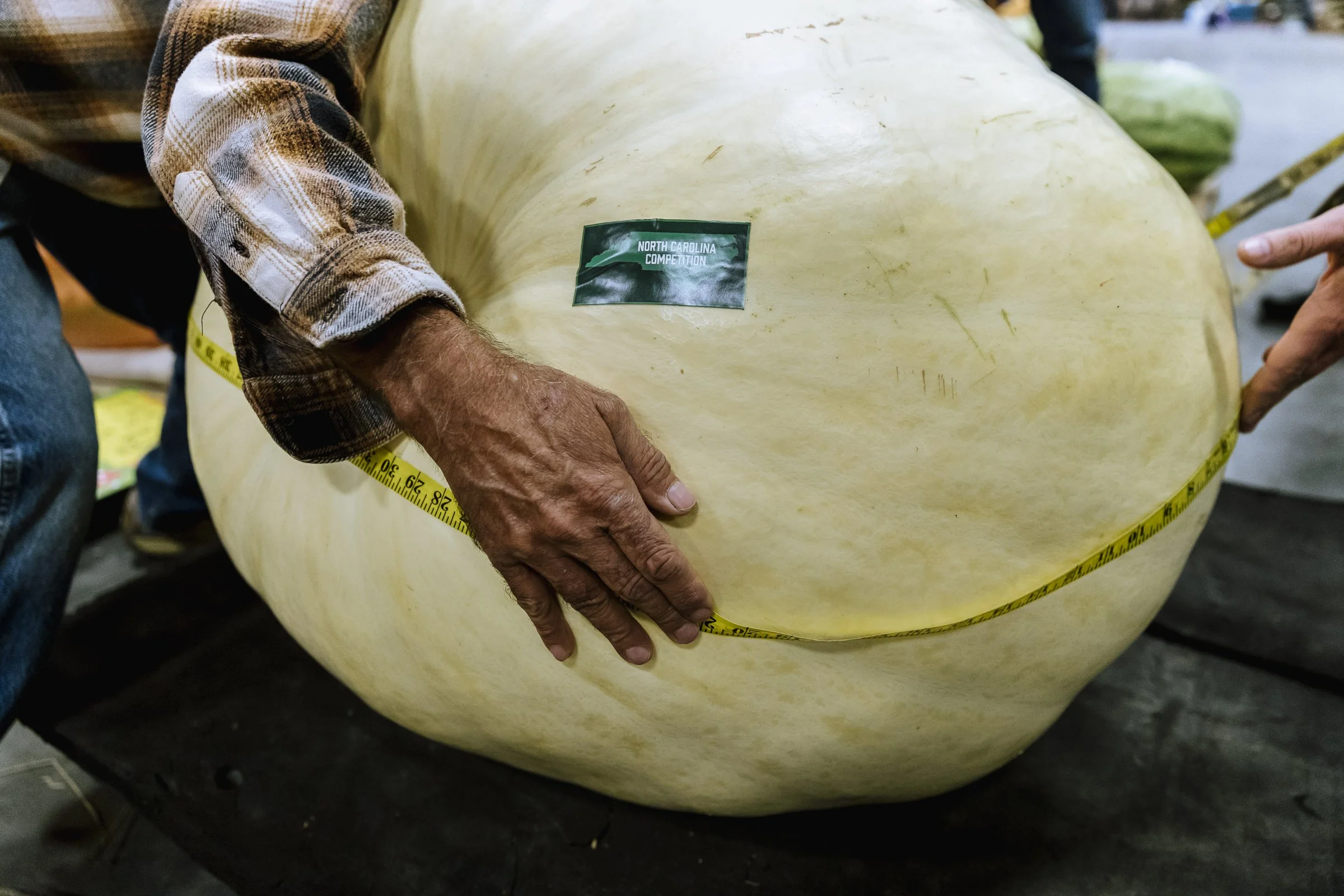 pumpkin_NC_fair_538.jpg