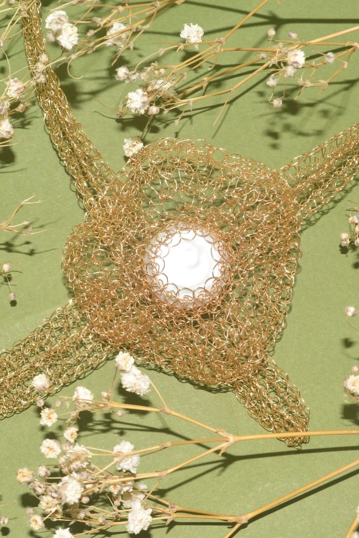 The Beauty of Natural Forms