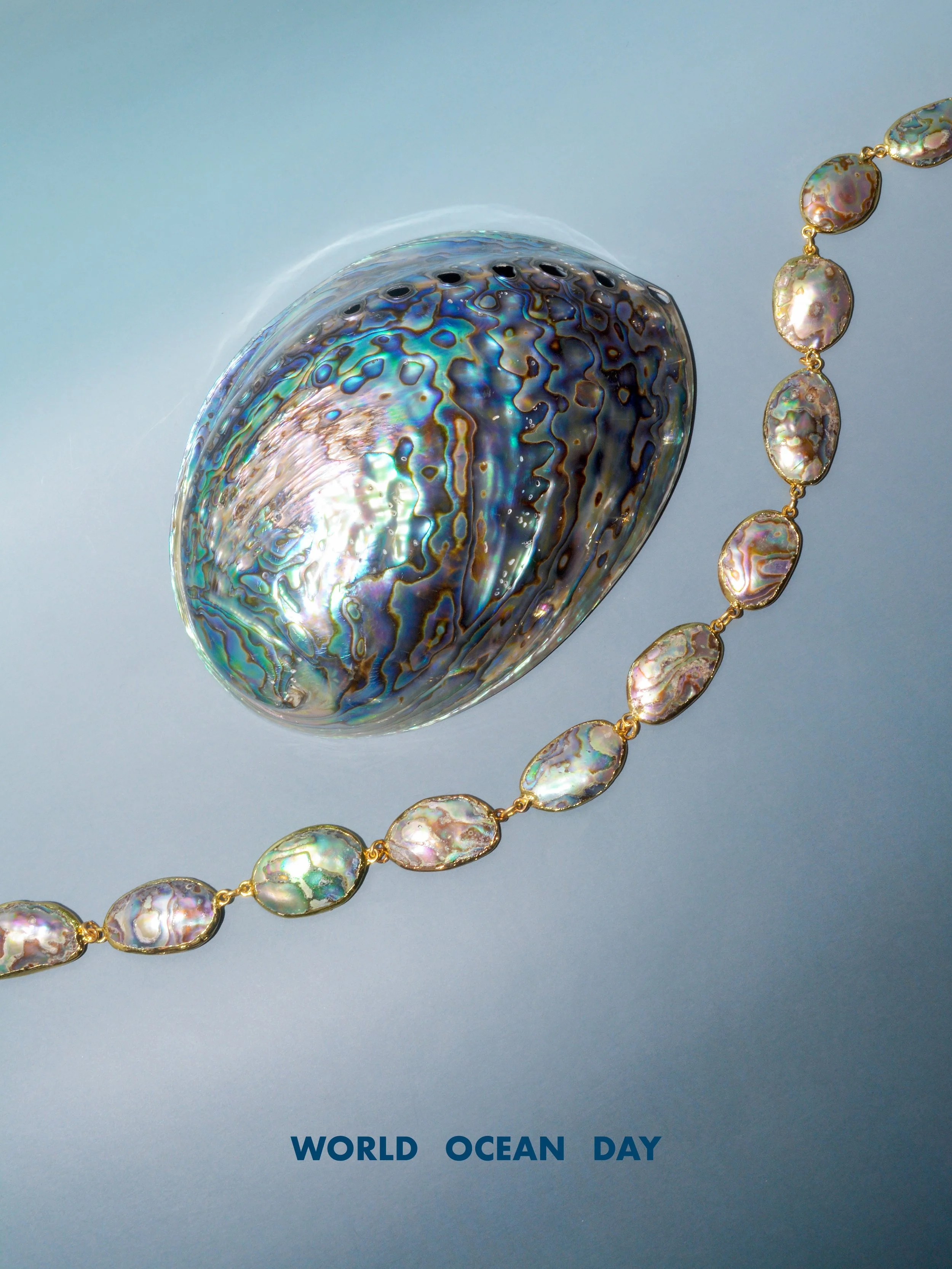 Happy World Ocean Day! 

Today, we celebrate the beauty and wonder of our oceans; the inspiration behind many of our designs. Using responsibly sourced ocean by-products such as abalone shell, we are committed to creating jewellery that honours the s
