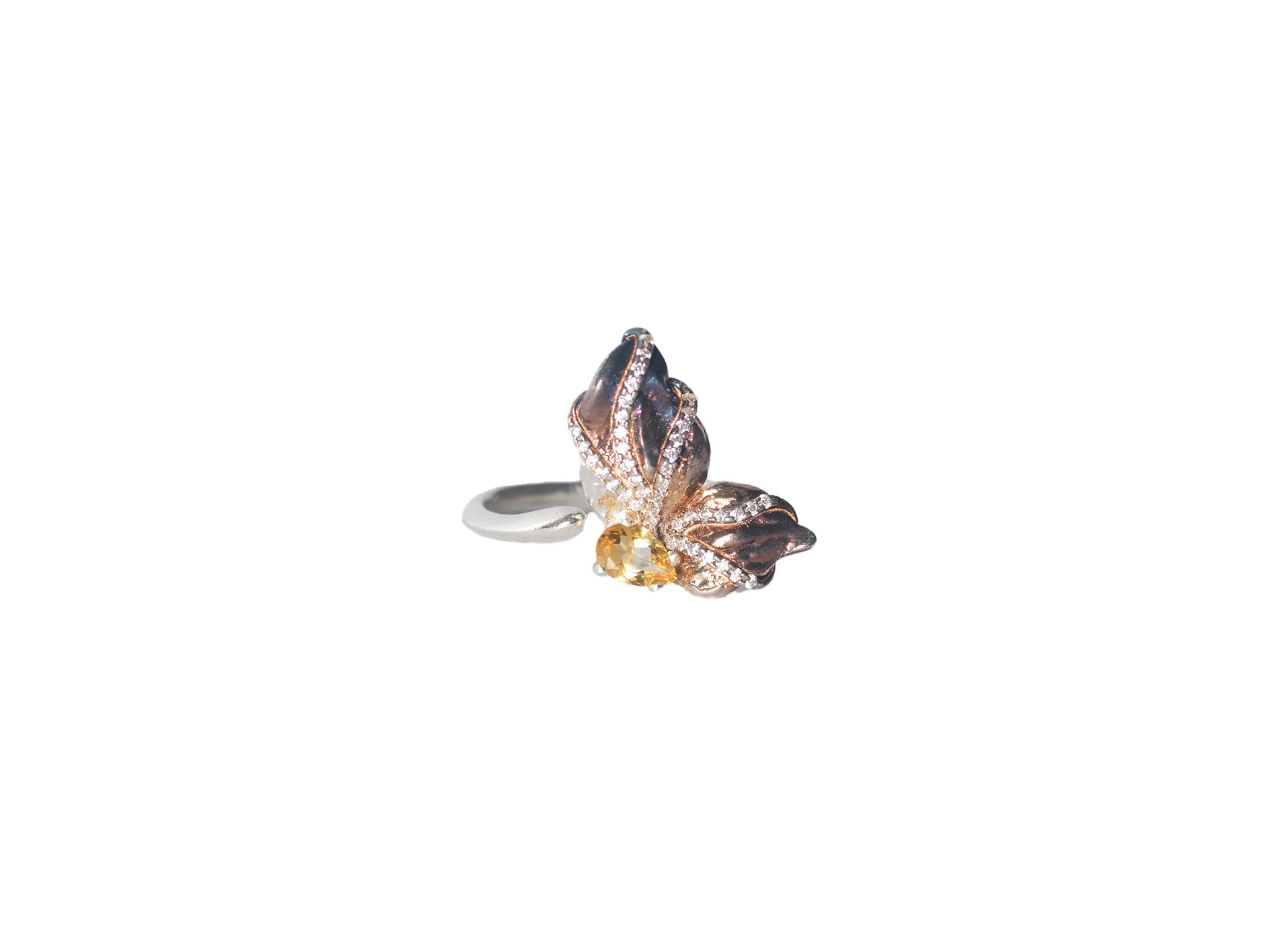 Annabelle ring transparent.jpg