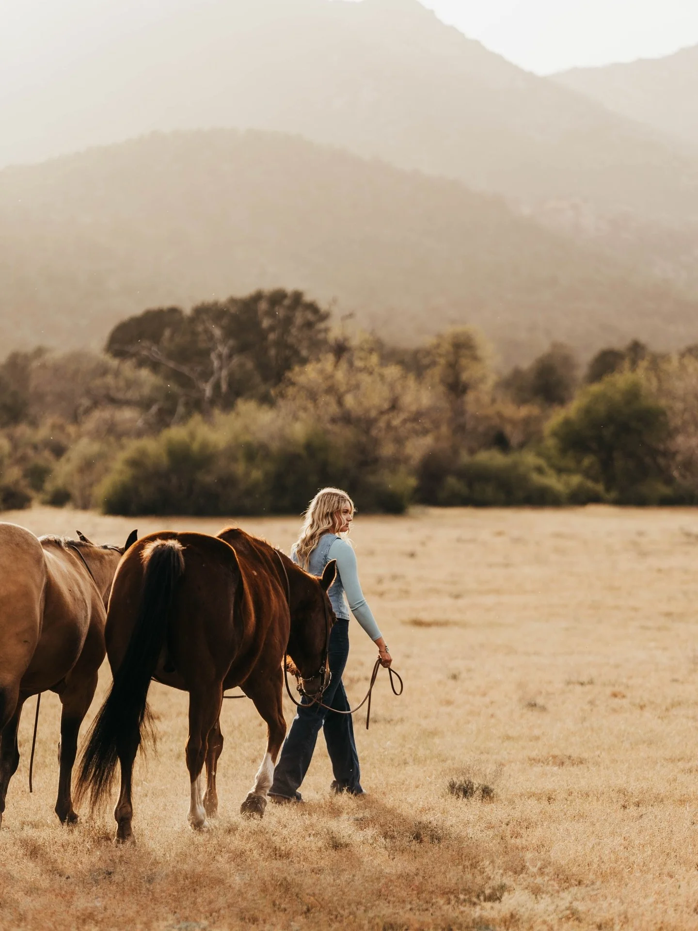If you need me, I&rsquo;m editing 🦋

#digitalart #canon #horsegirl #travelphotography #lightroomedits