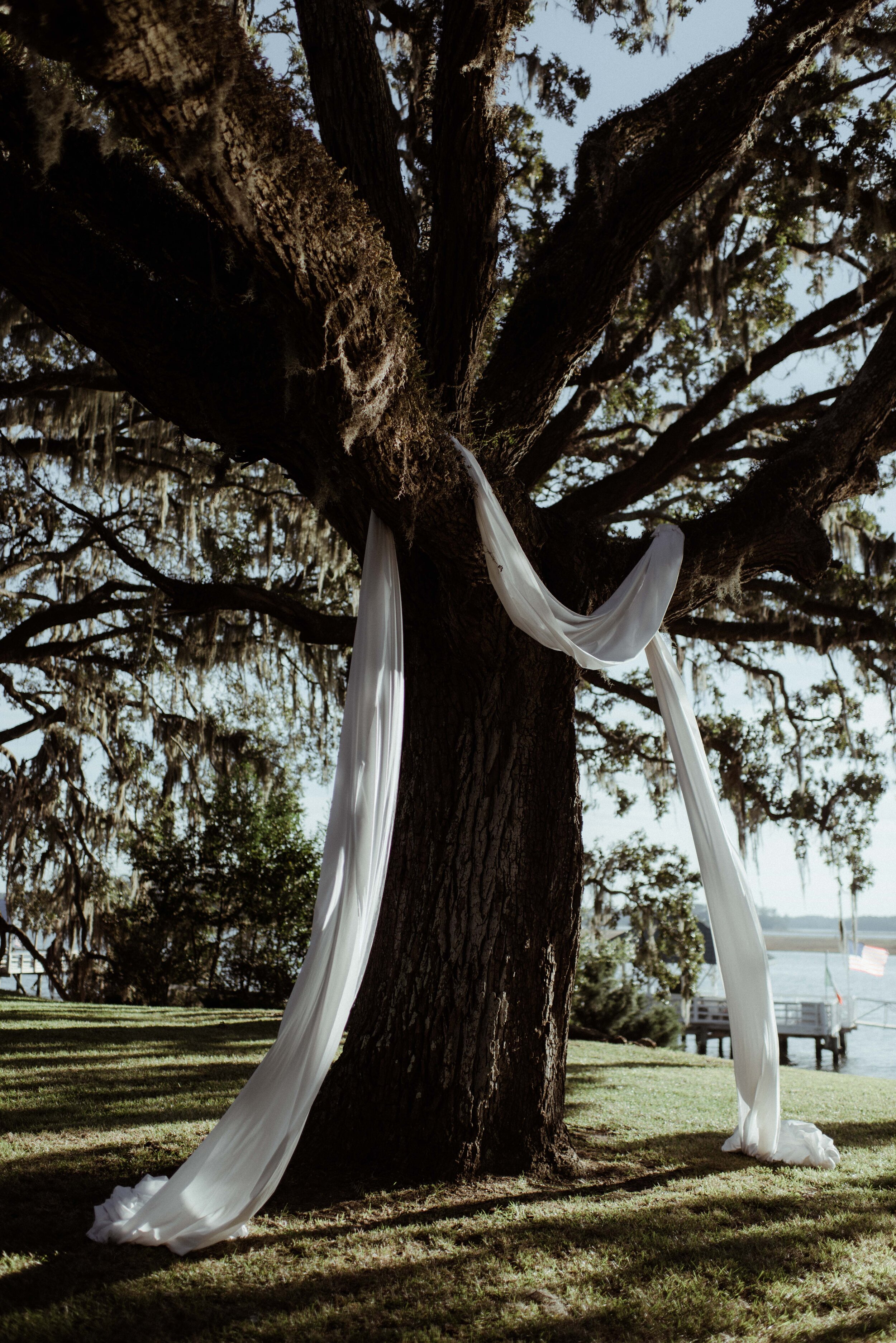 romantic-backyard-wedding-savannah-georgia-cloth-draping-tree-decor.jpg