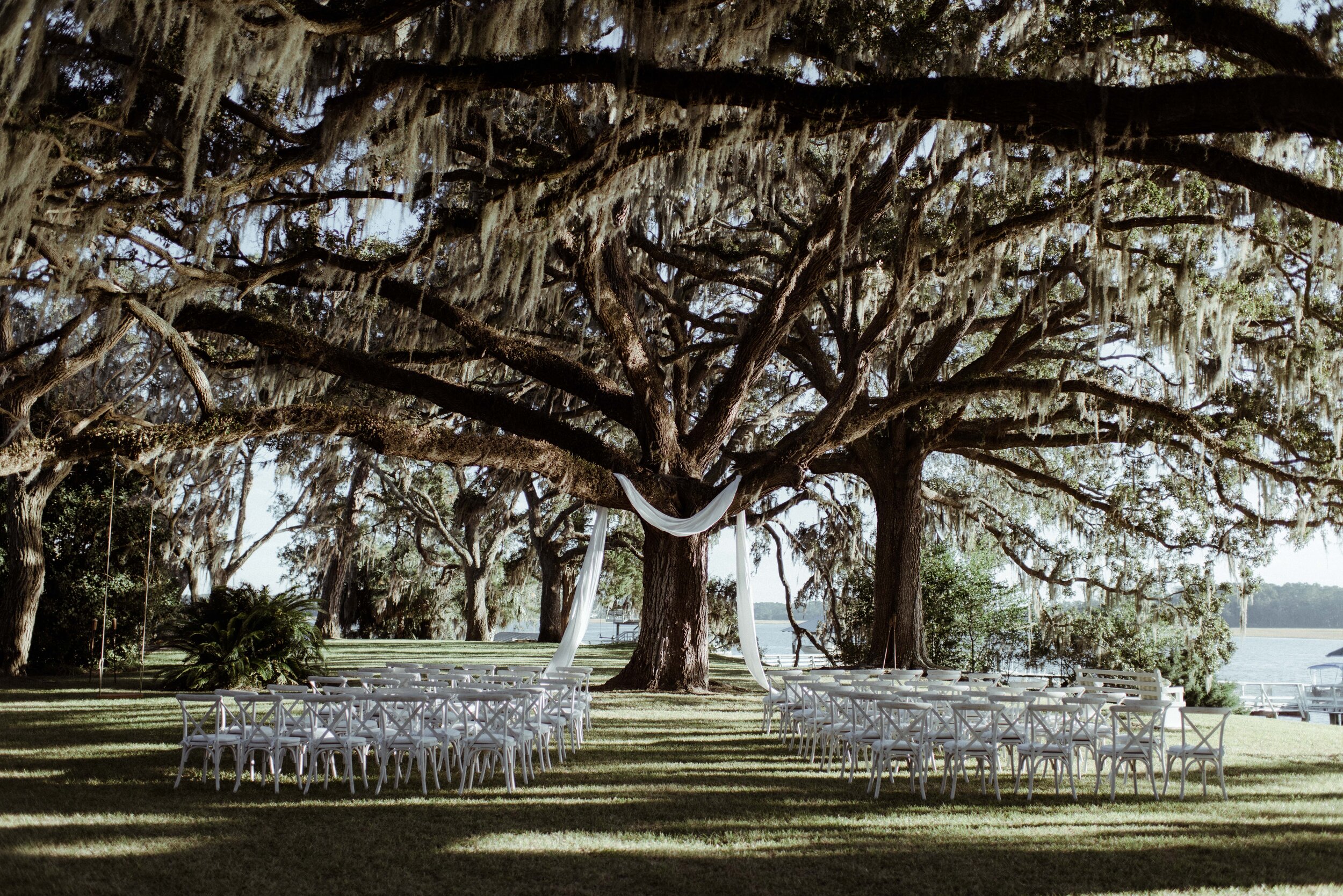 romantic-backyard-wedding-savannah-georgia-minimalist-ceremony-oak-tree.jpg