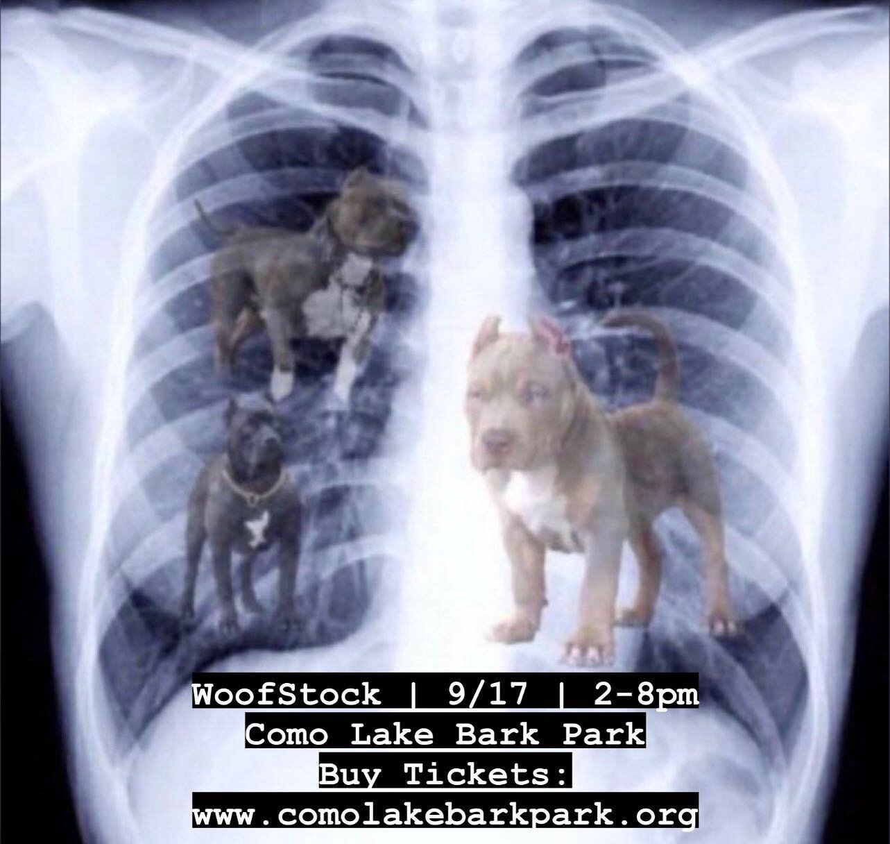 Just got our X rays back&hellip; turns out we got that dawg in us. | See everyone at WoofStock. We can&rsquo;t wait. Bring your dawgs and your dogs.

#livemusic #buffalony #stepoutbuffalo #risebflo #coverband