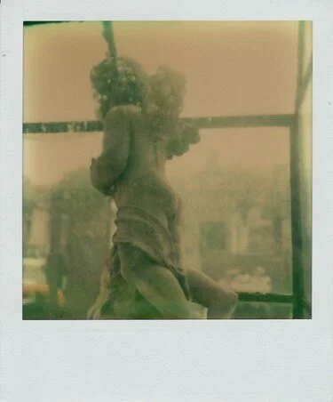 Son Ange,  2008 