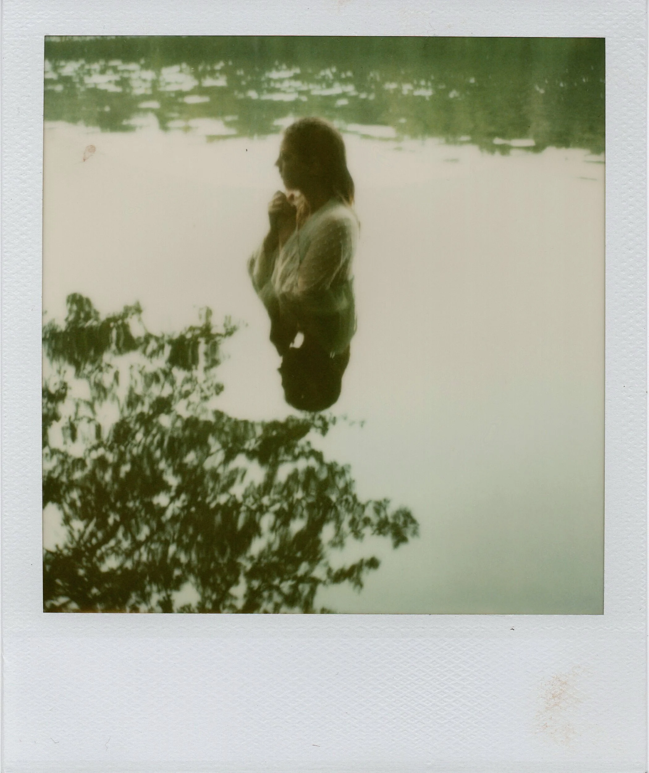 Lake,  2011 